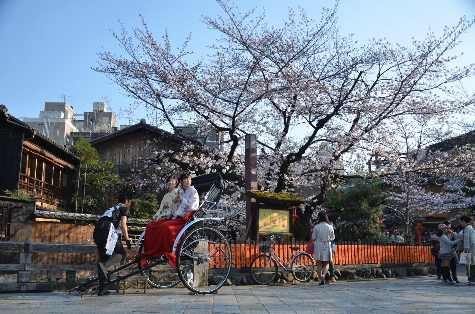 Nikon D7000 sample photo. Japan, kyoto, sakura photography