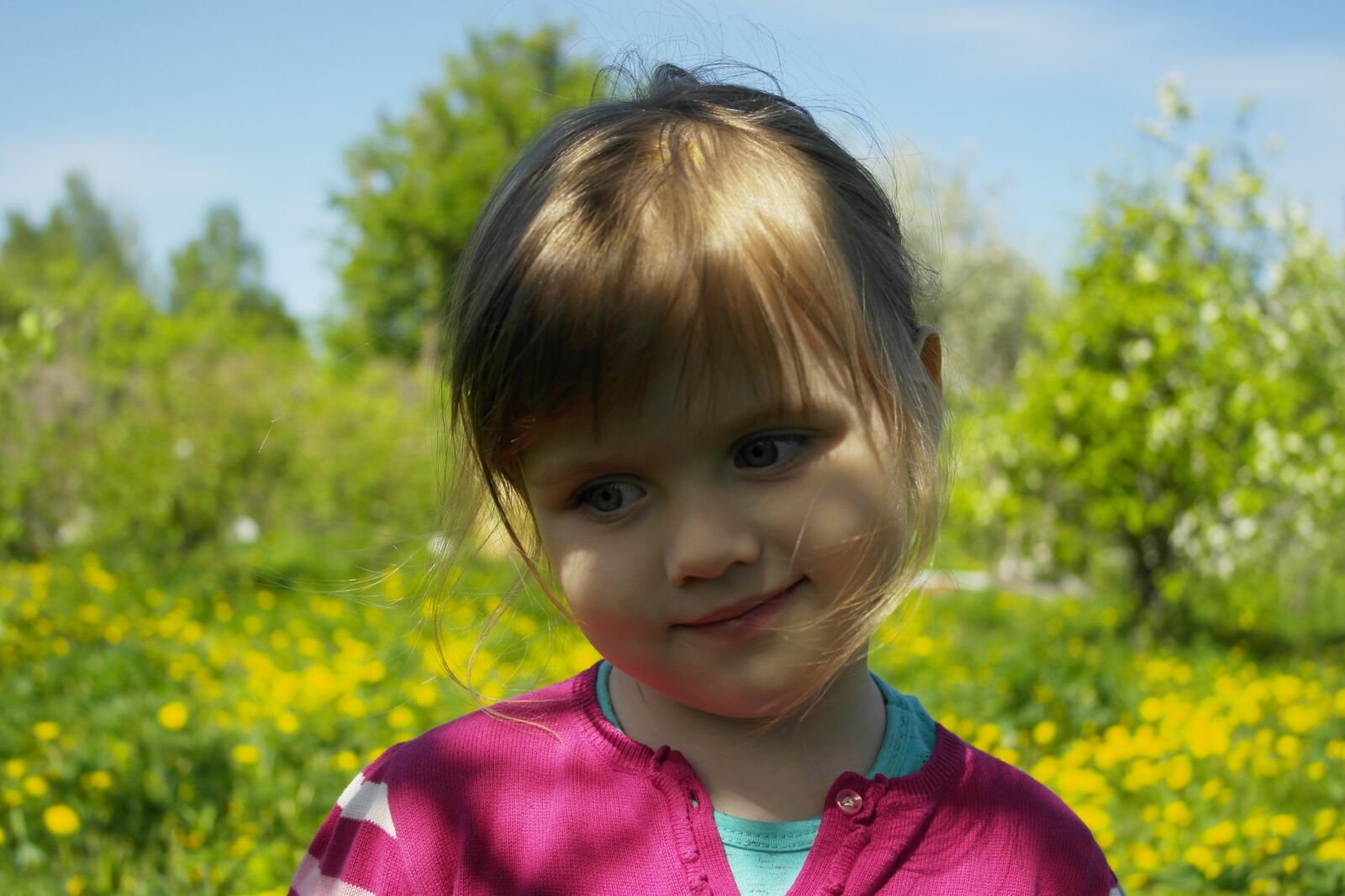 Samsung NX1000 sample photo. Girl, field, summer photography
