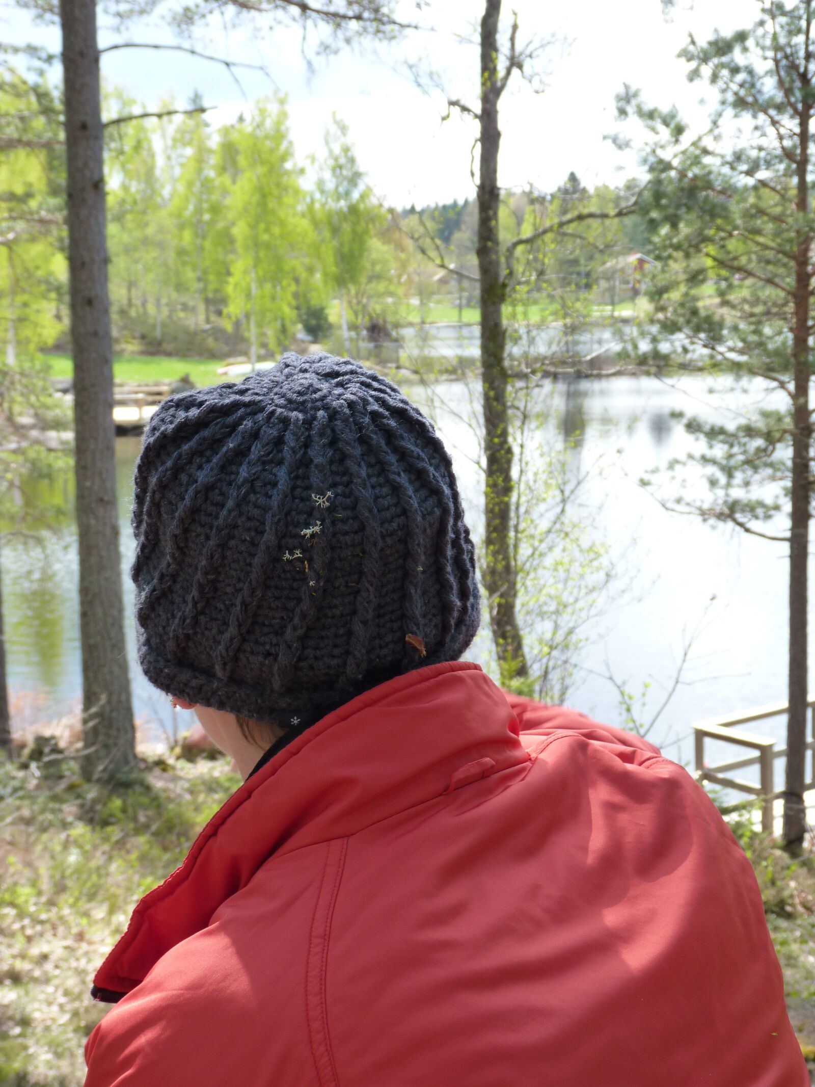 Panasonic Lumix DMC-FZ35 (Lumix DMC-FZ38) sample photo. Nature, lonely, lake photography