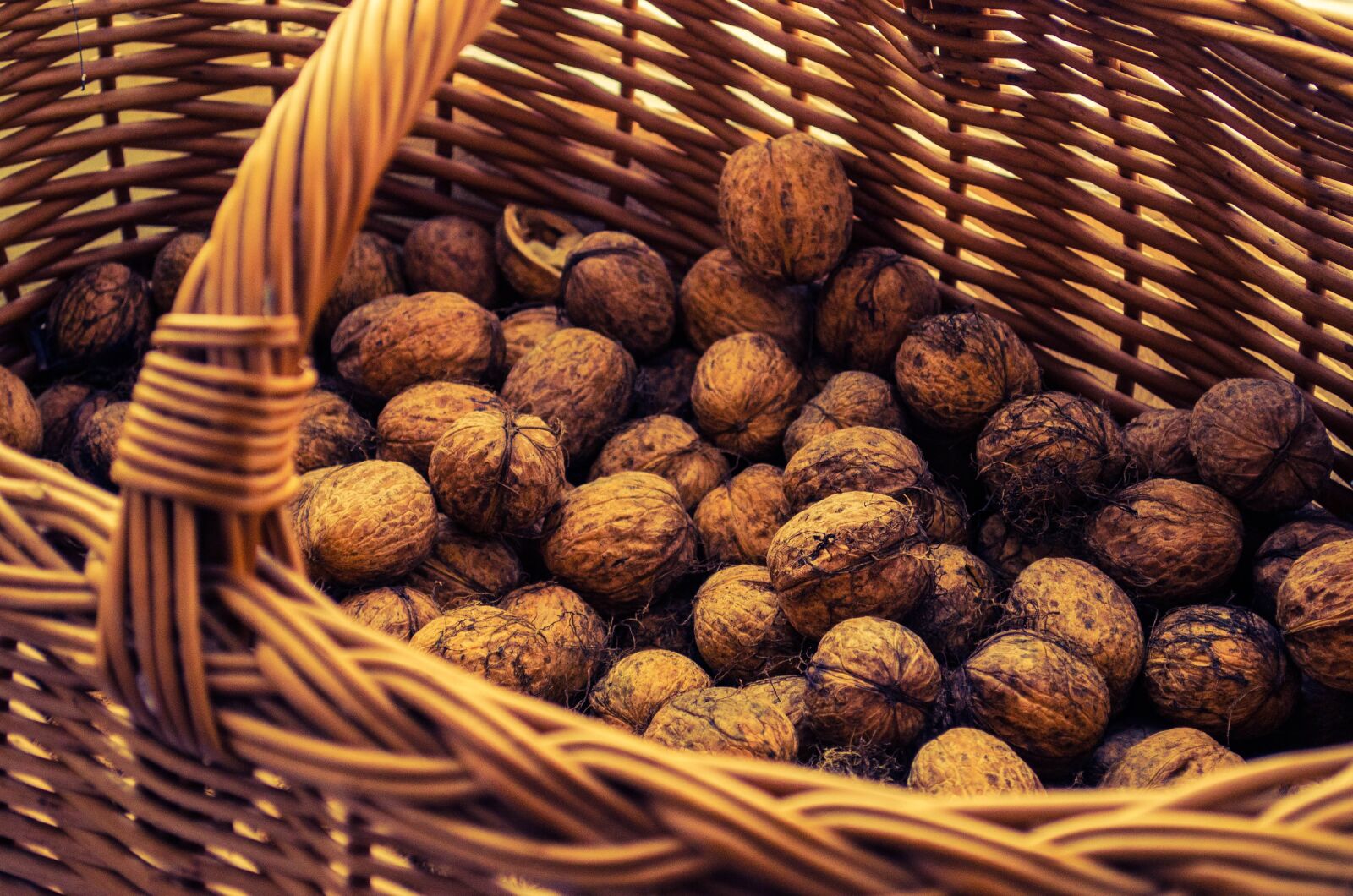Nikon D5100 sample photo. Nuts, shopping cart, in photography