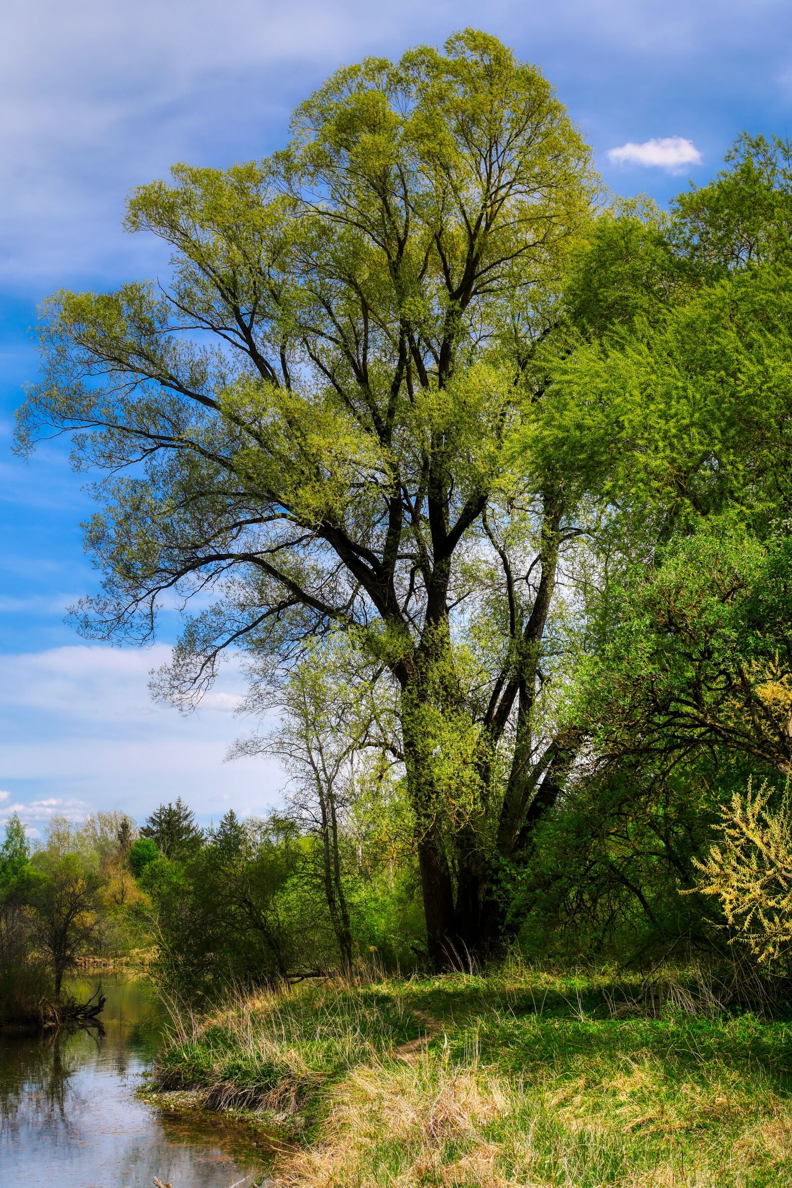 Panasonic Lumix DMC-GX8 sample photo. Lake, spring, nature photography