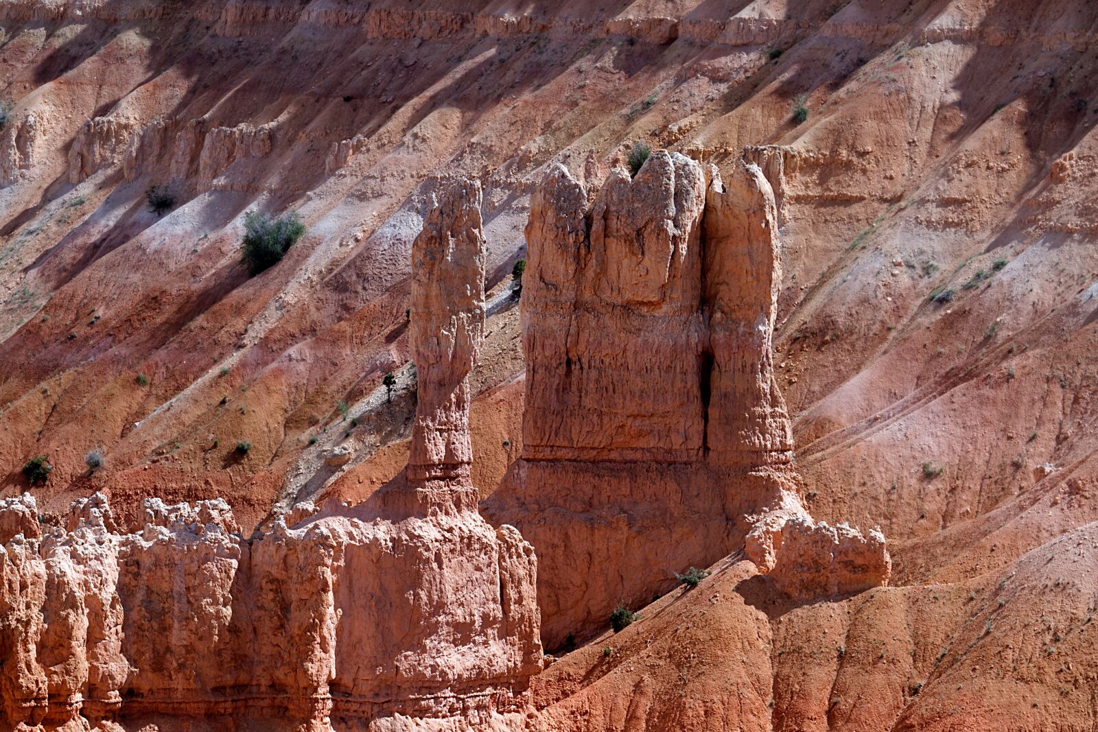 Canon EOS 7D sample photo. Bryce canyon, paunsaugunt plateau photography