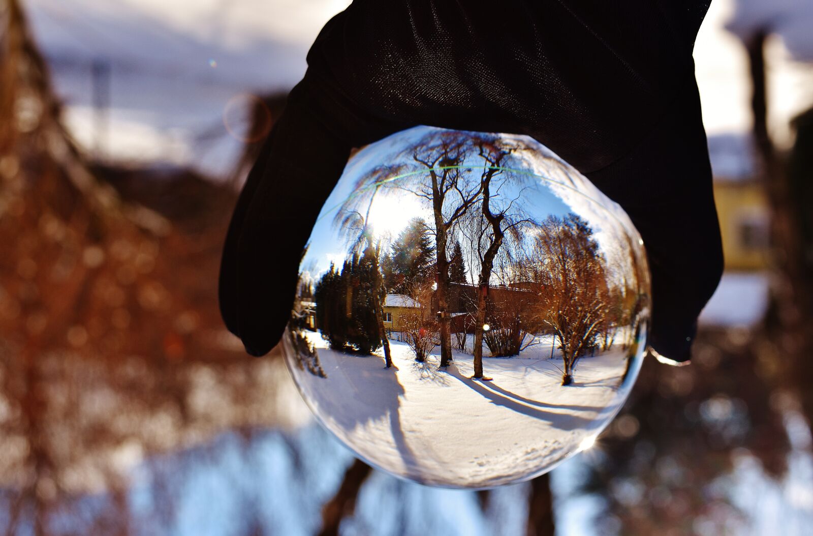 Nikon D7200 sample photo. Winter, snow, garden photography