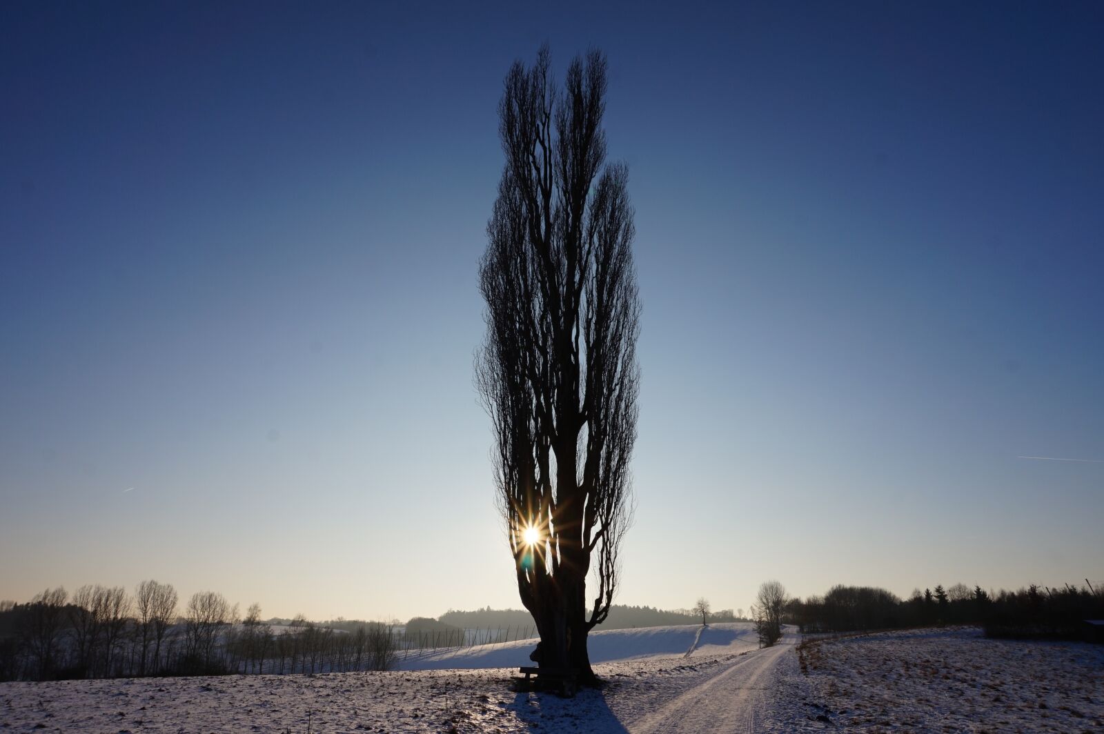 Sony Alpha a5000 (ILCE 5000) sample photo. Nature, winter, sky photography