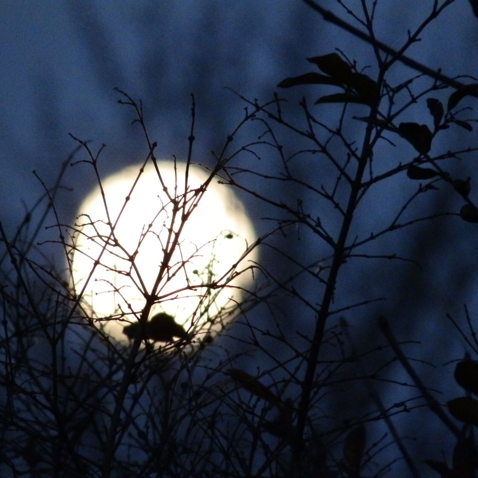 Olympus SP-820UZ sample photo. Night, moon, moonlight photography