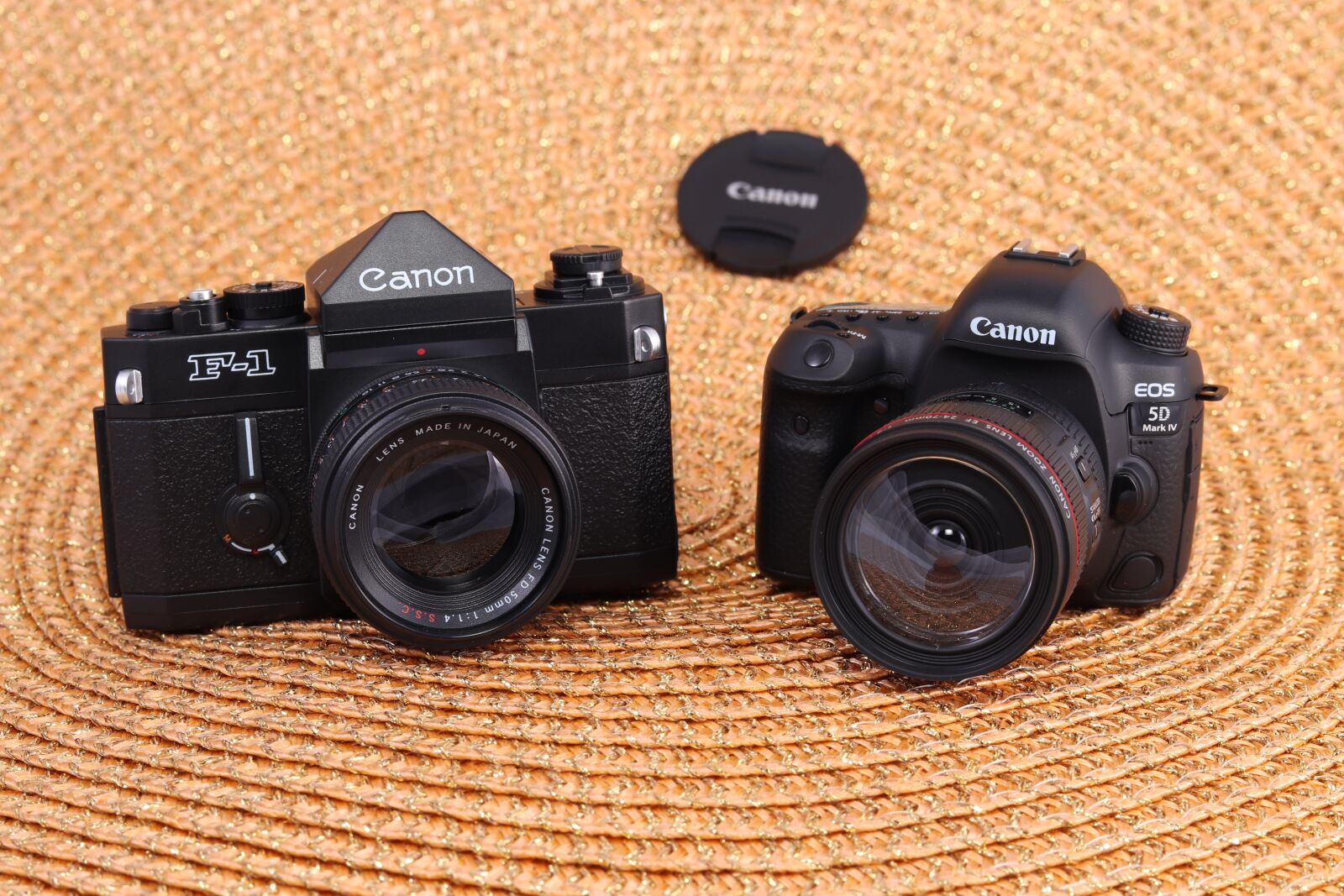 Canon EOS 800D (EOS Rebel T7i / EOS Kiss X9i) + Canon EF 50mm F1.8 STM sample photo. Canon, camera, model photography