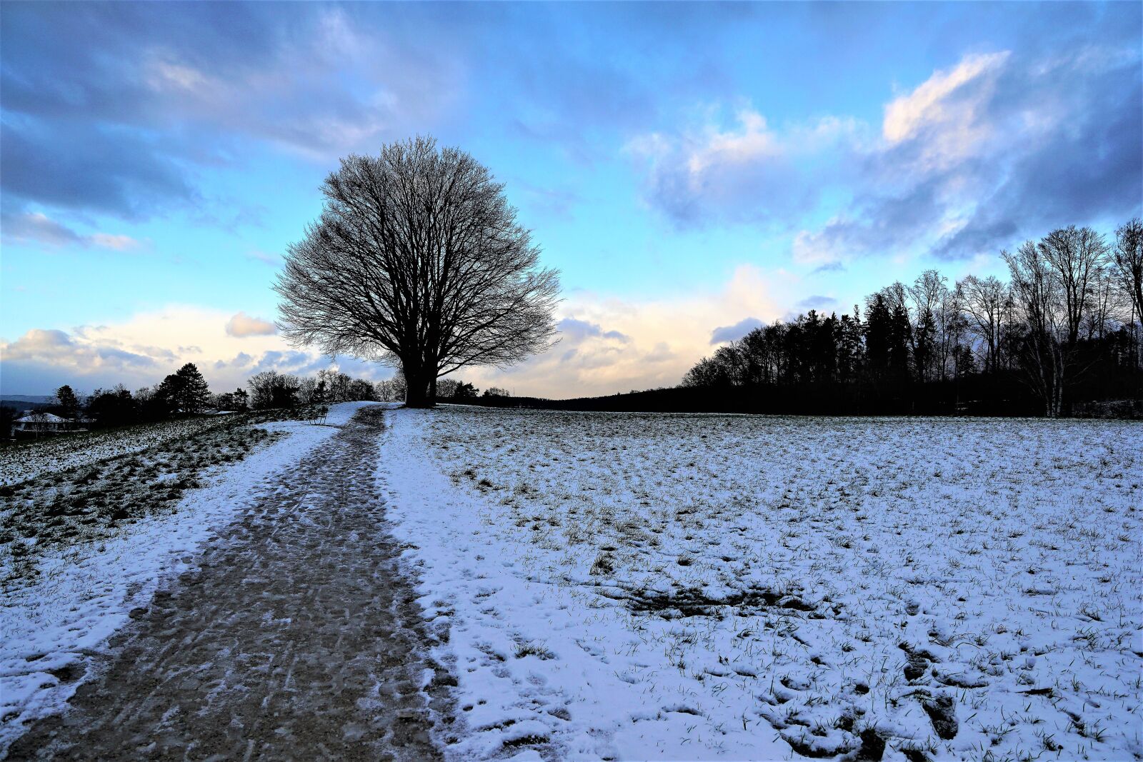 Sony ILCA-77M2 + Sony DT 16-50mm F2.8 SSM sample photo. Nature, landscape, sky photography