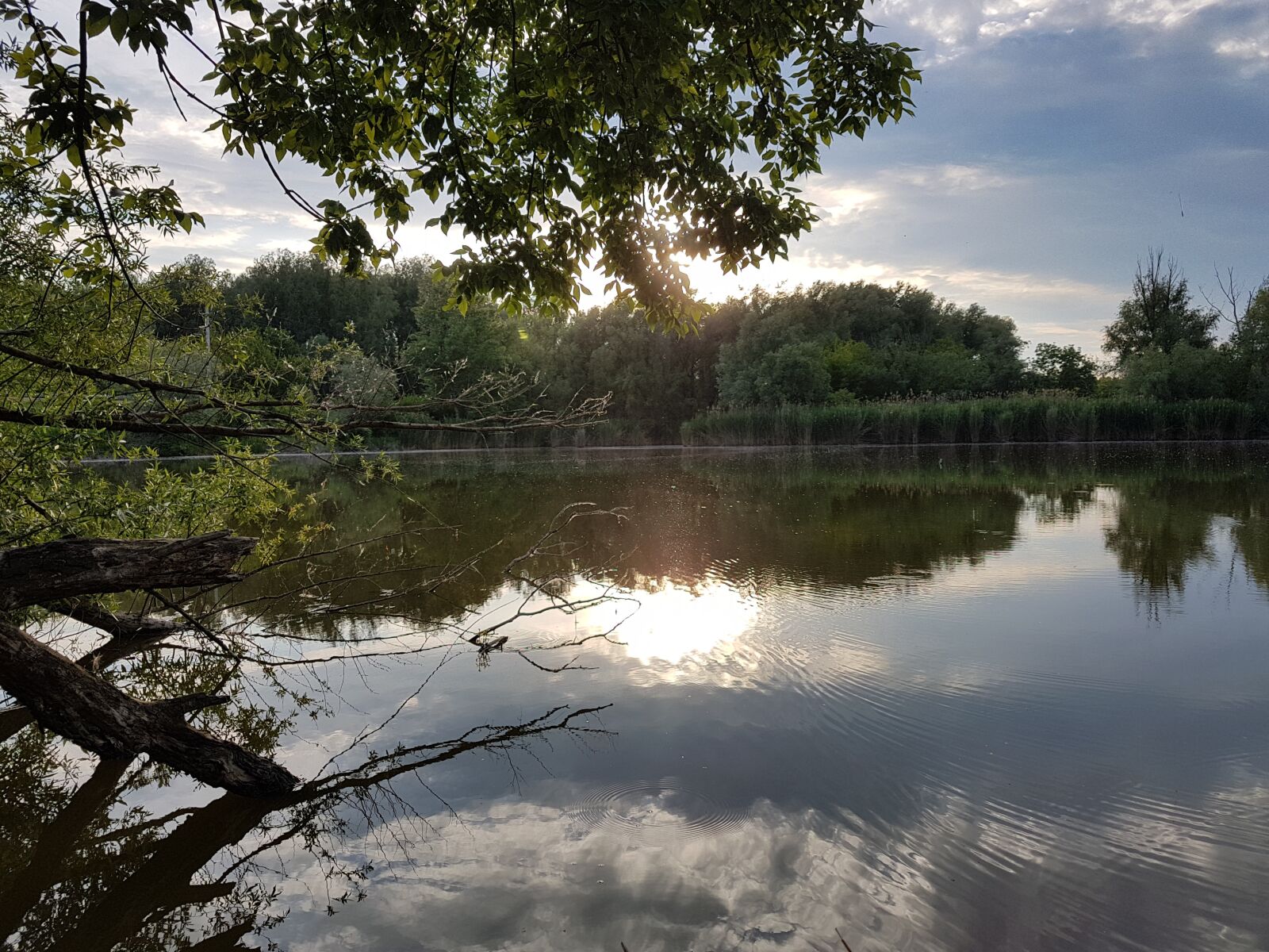 Samsung Galaxy S7 Edge sample photo. Waterfront, nature, wood photography