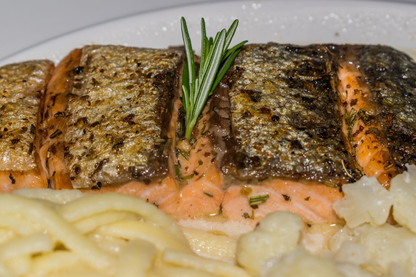 Nikon D5300 sample photo. Salmon, salmon fillet, skin photography