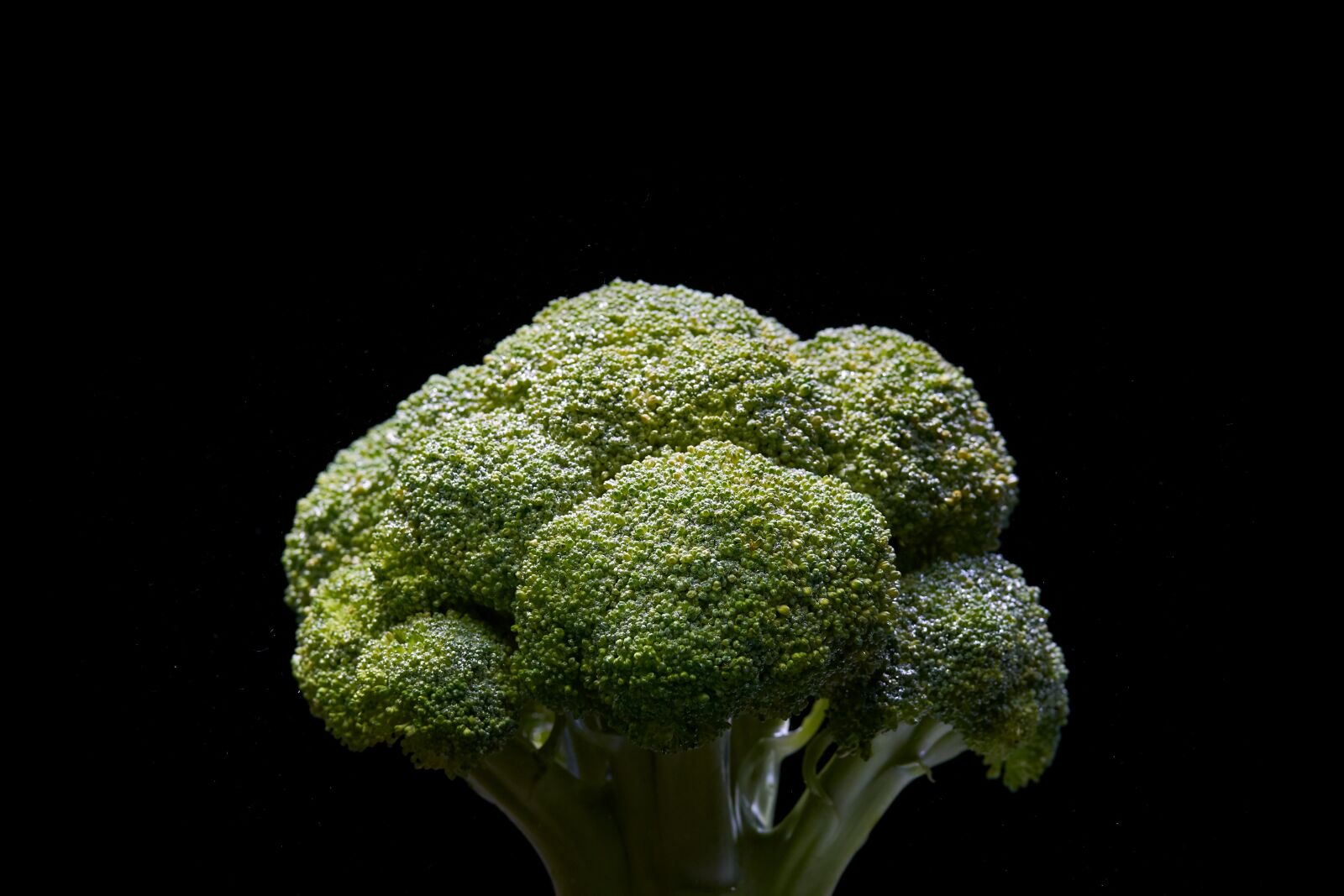 Sigma 85mm F1.4 DG HSM Art sample photo. Broccoli, vegetable, green photography