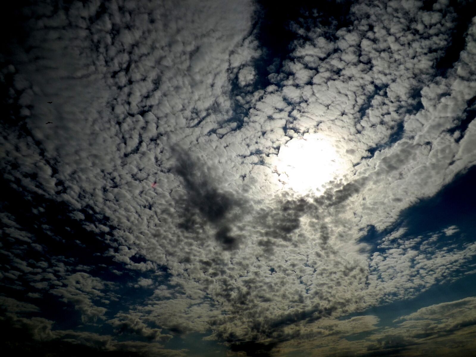 Fujifilm FinePix S4500 sample photo. Cloud, sky, fluffy photography