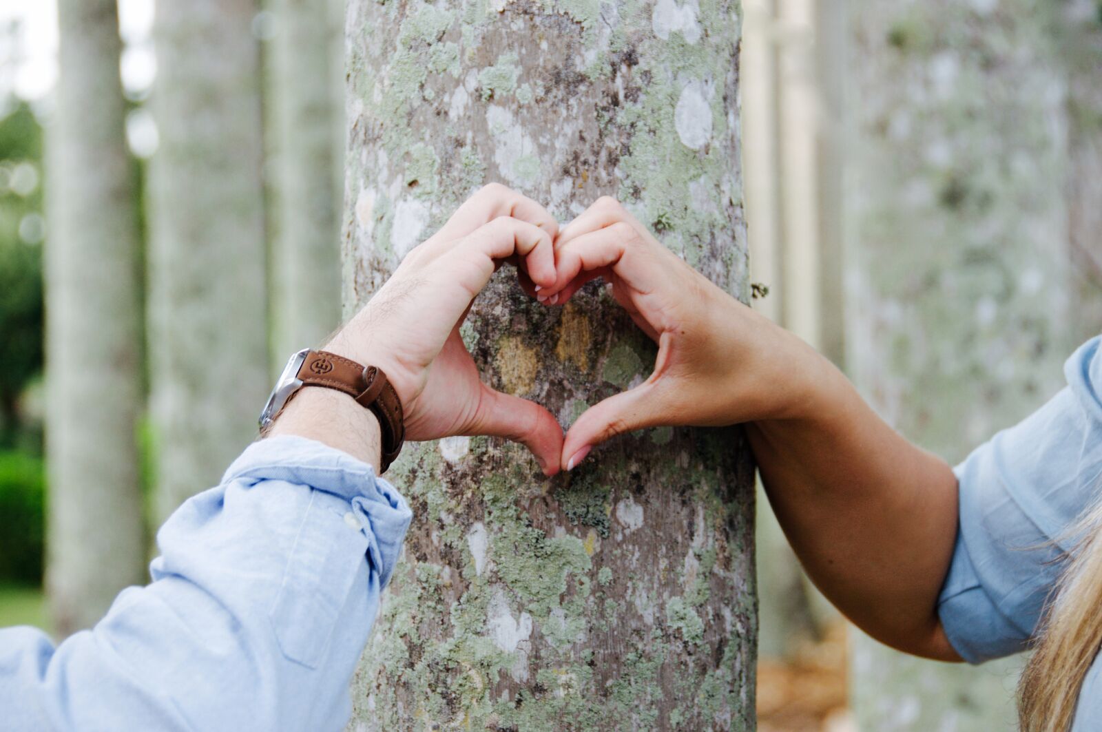 Nikon D90 sample photo. Heart, tree, love photography