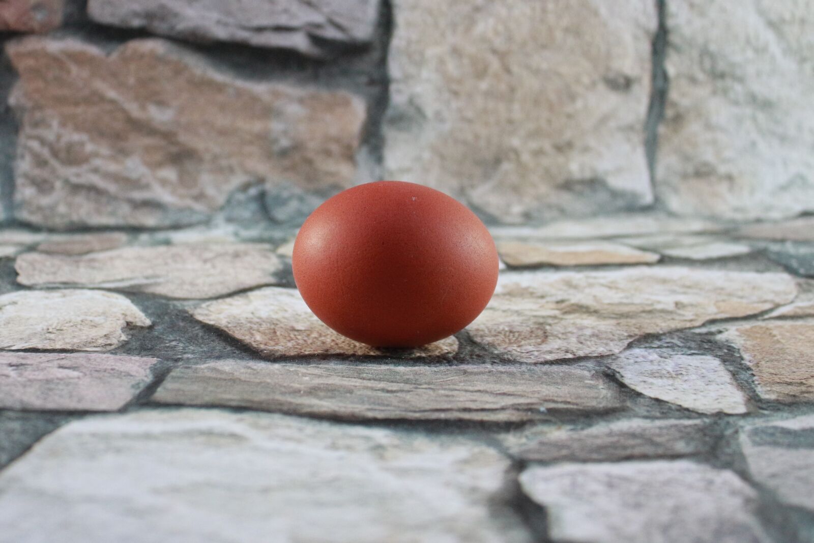 Canon EF-S 18-55mm F3.5-5.6 IS sample photo. Egg, brown, easter photography