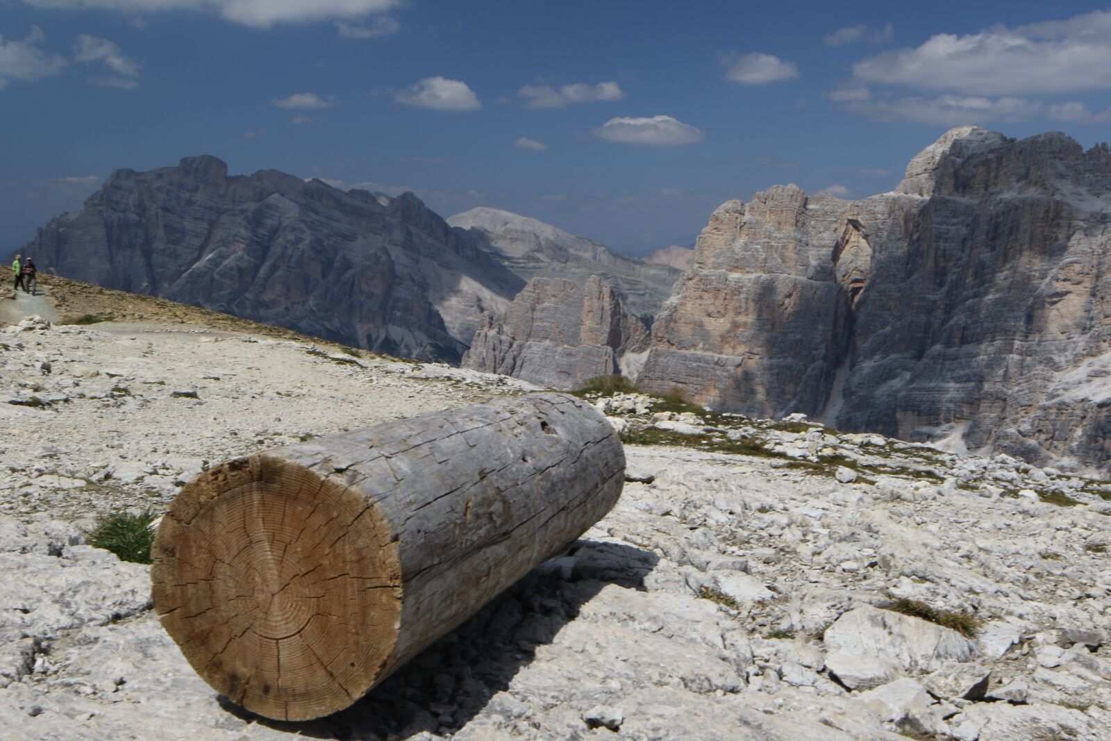 Canon TS-E 24mm F3.5L II Tilt-Shift sample photo. Dolomite, log, landscape photography