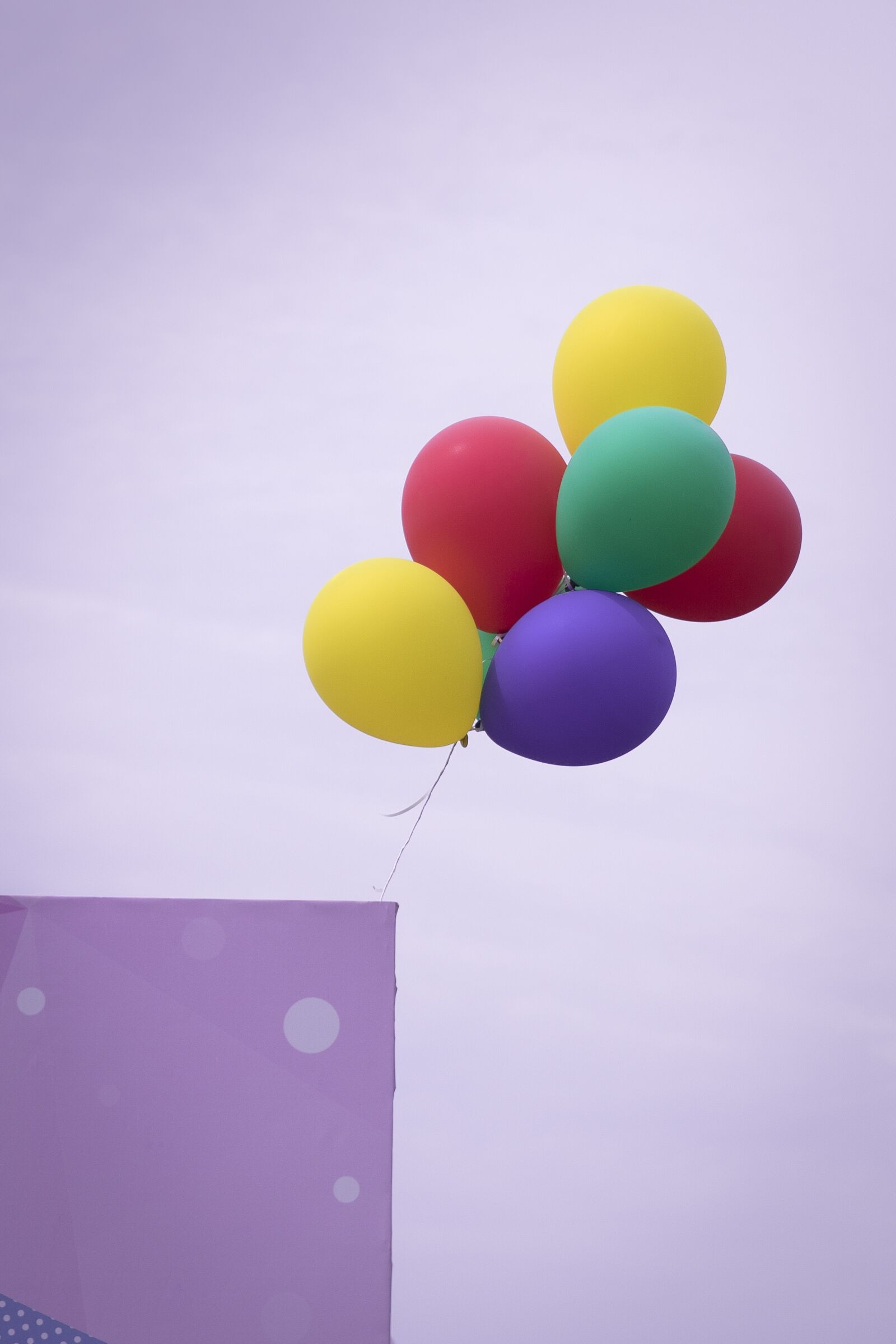 24-70mm F2.8 sample photo. Balloon, purple, sky photography