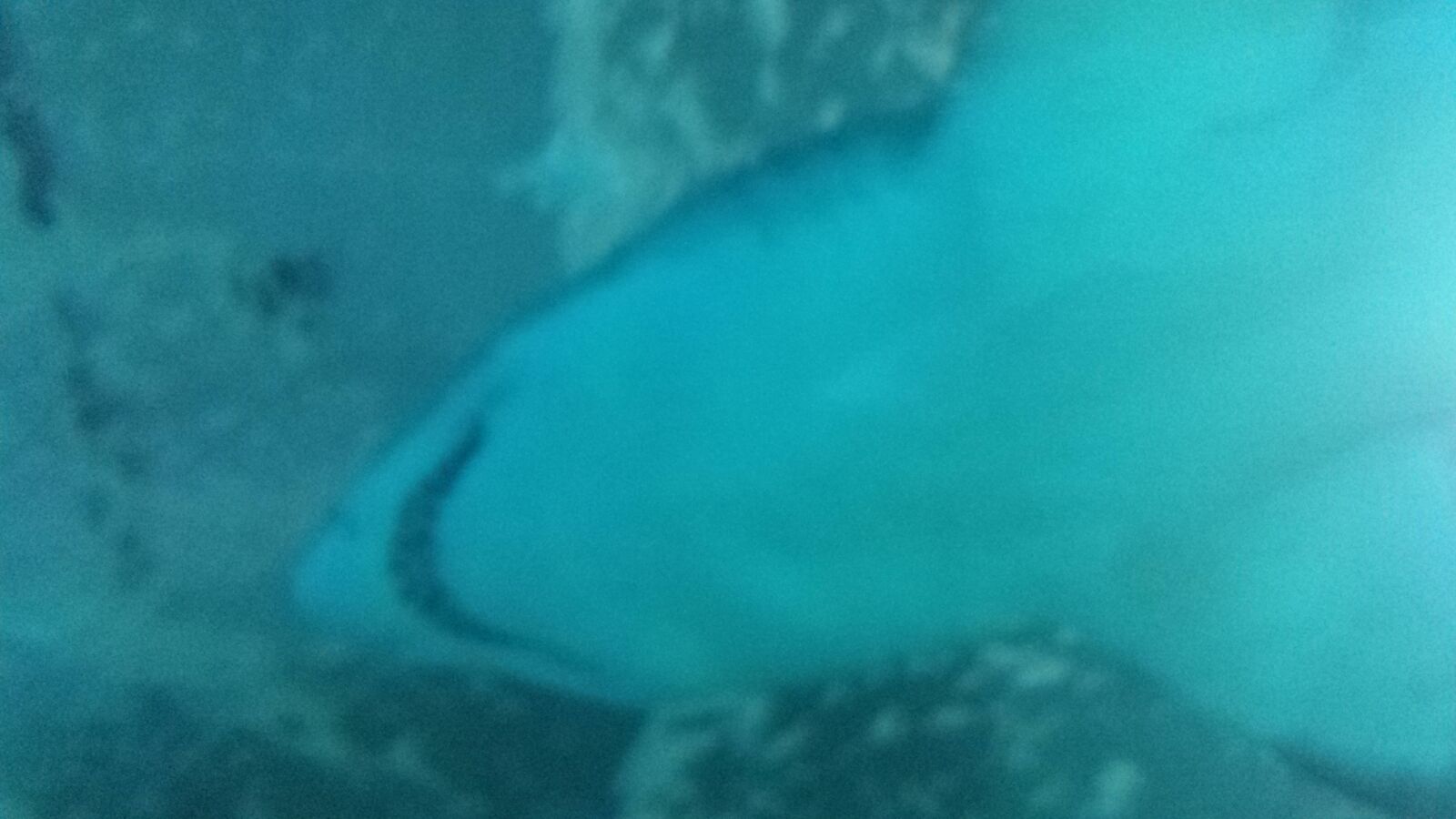 Samsung Galaxy S4 sample photo. Shark, sea, ocean photography