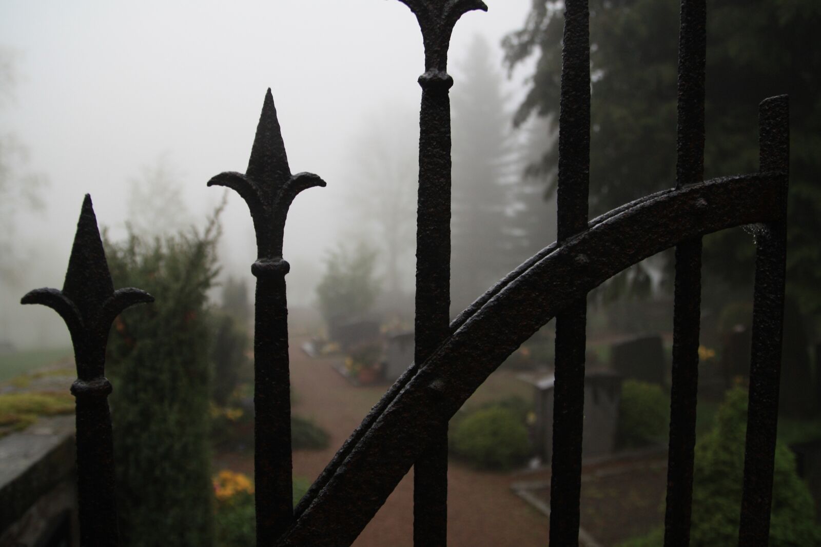 Canon EOS 450D (EOS Rebel XSi / EOS Kiss X2) sample photo. Cemetery, fog, iron gate photography