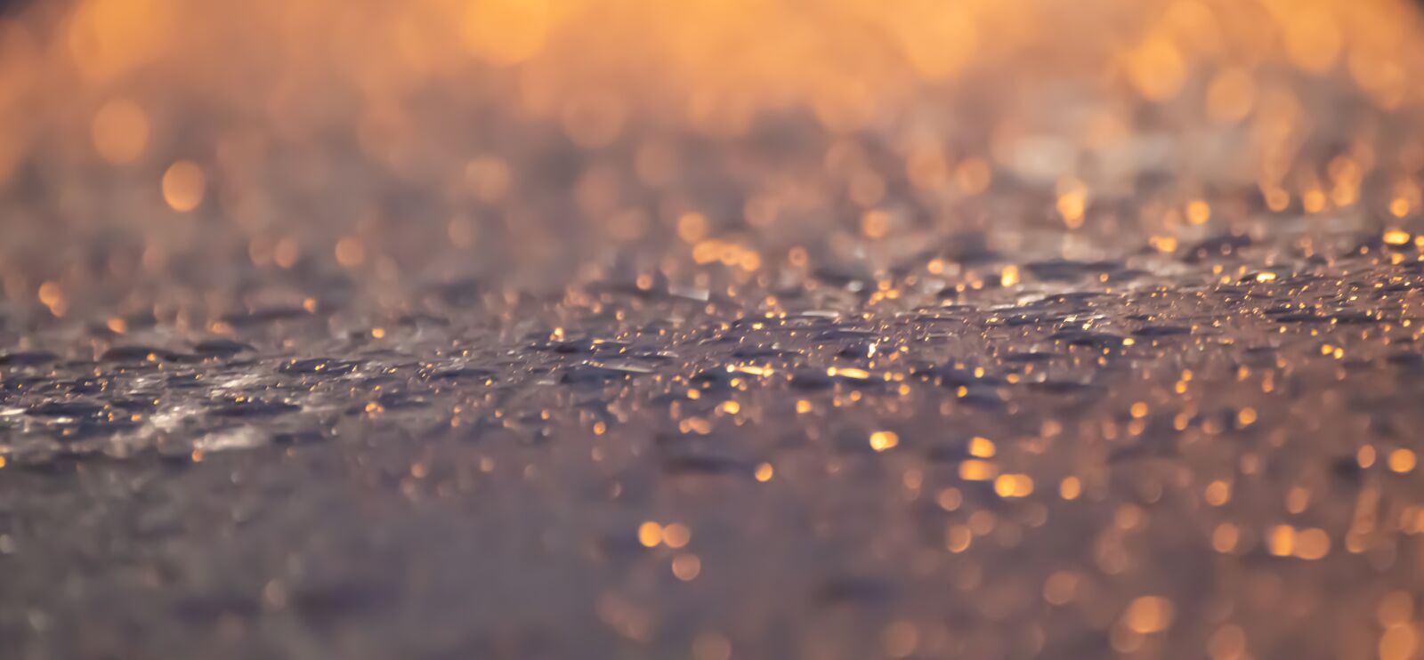 Canon EOS 200D (EOS Rebel SL2 / EOS Kiss X9) sample photo. Drip, rain, wet photography