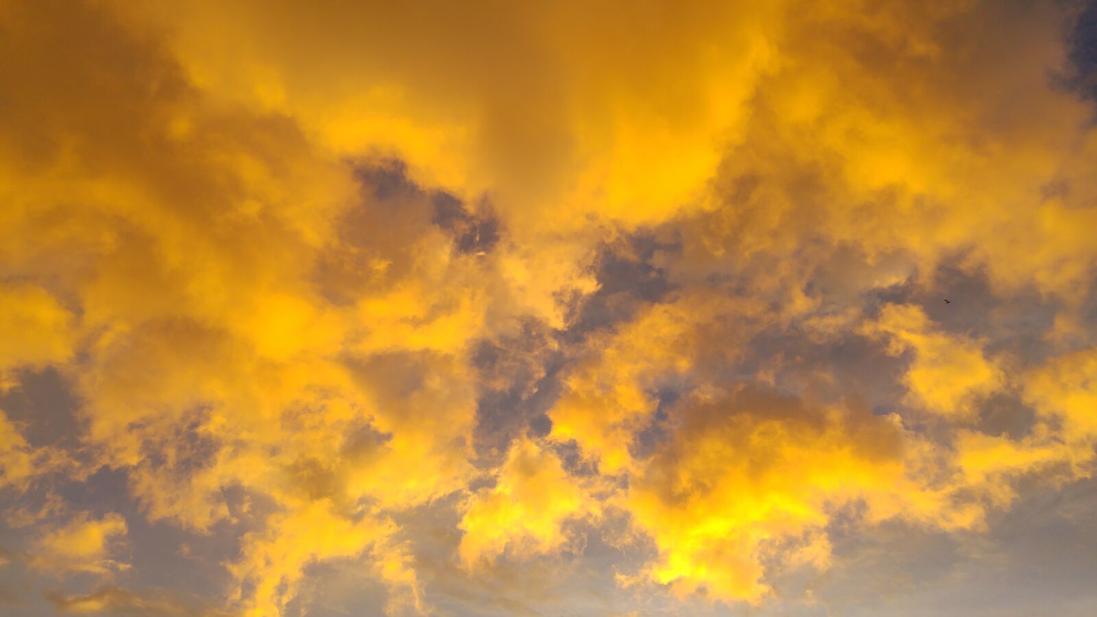 LG G4 sample photo. Golden, clouds, huoshao photography