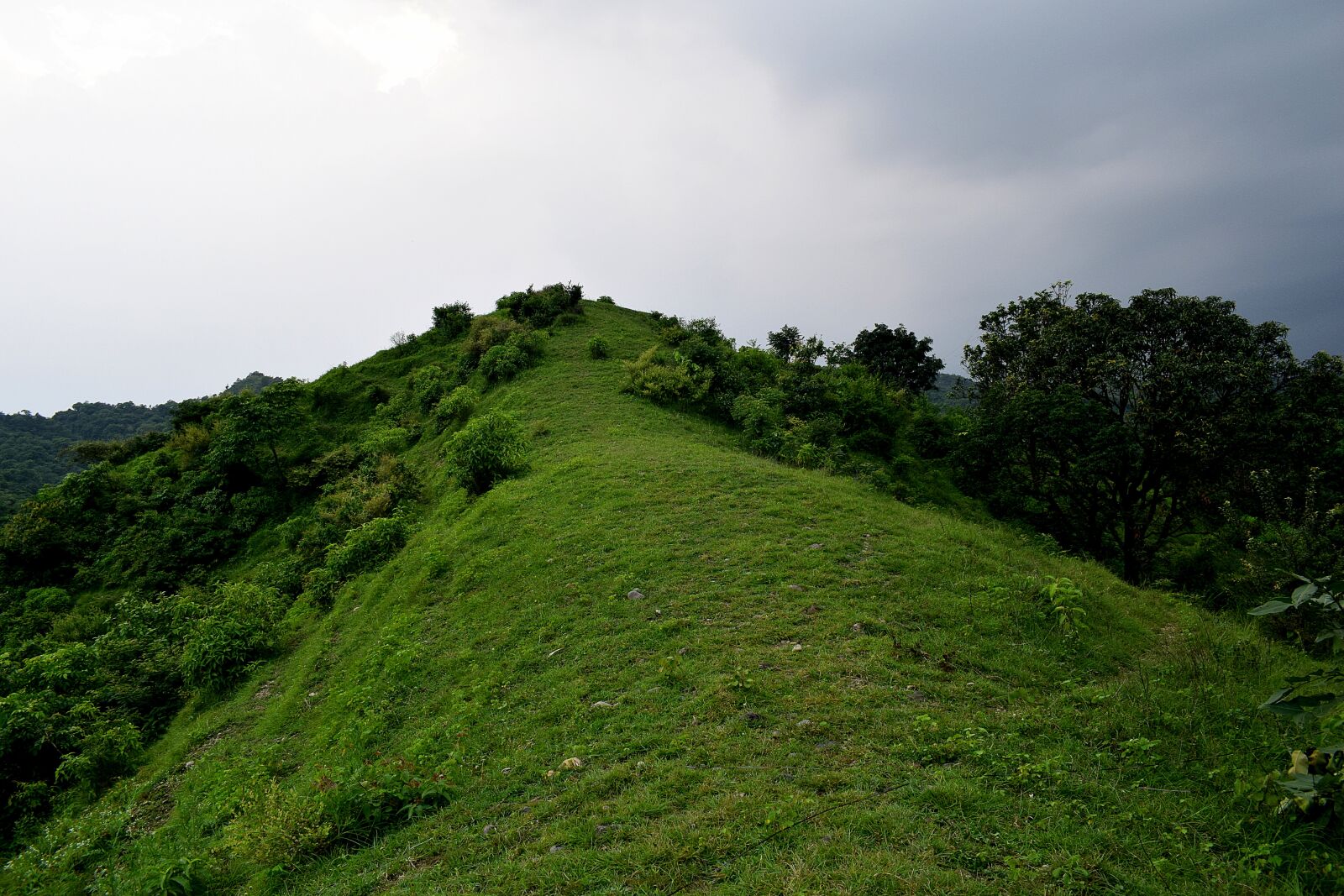 Nikon D3300 sample photo. Green, hill, landscape photography