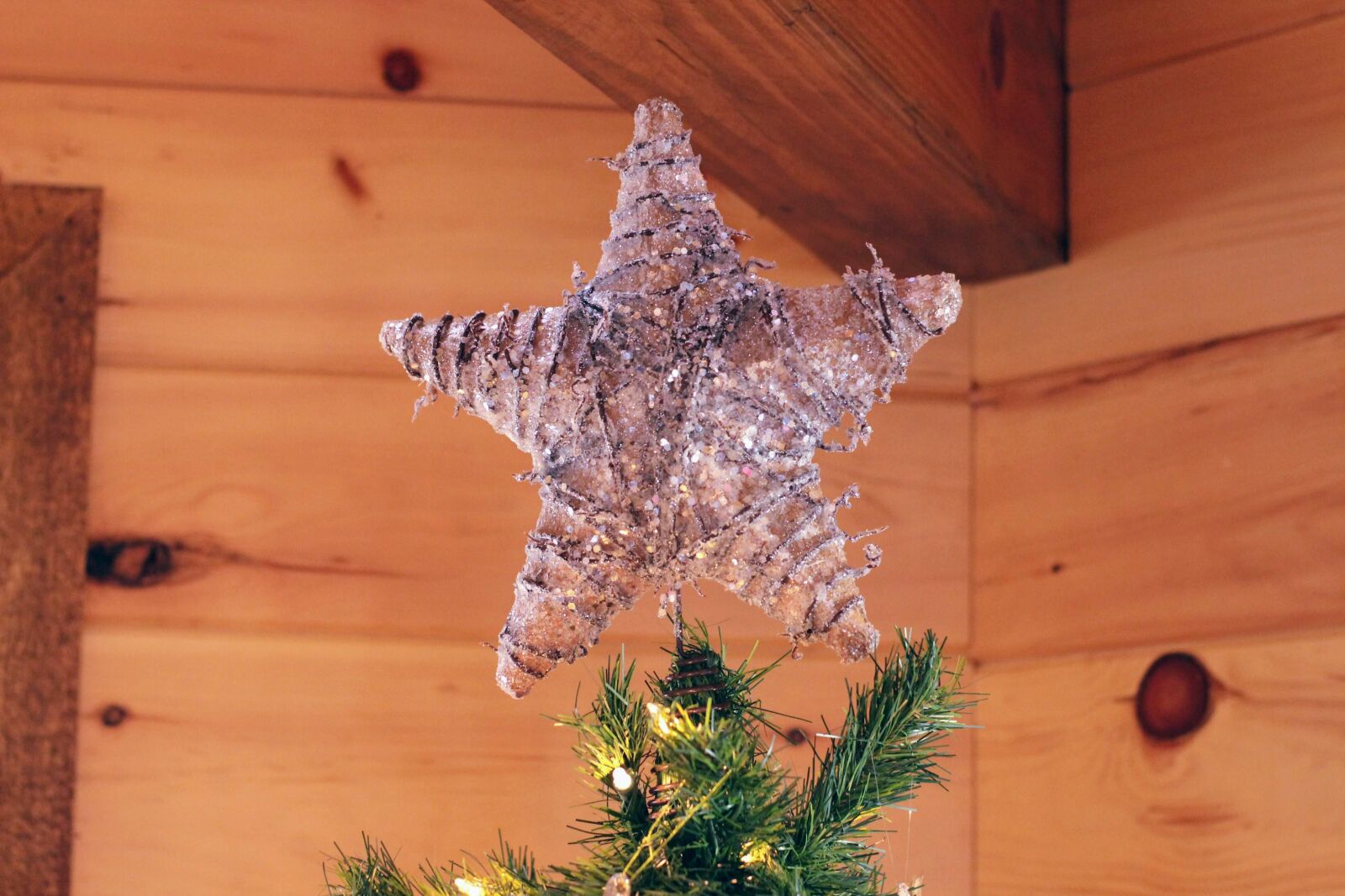 Canon EOS 700D (EOS Rebel T5i / EOS Kiss X7i) sample photo. Christmas tree, tree topper photography