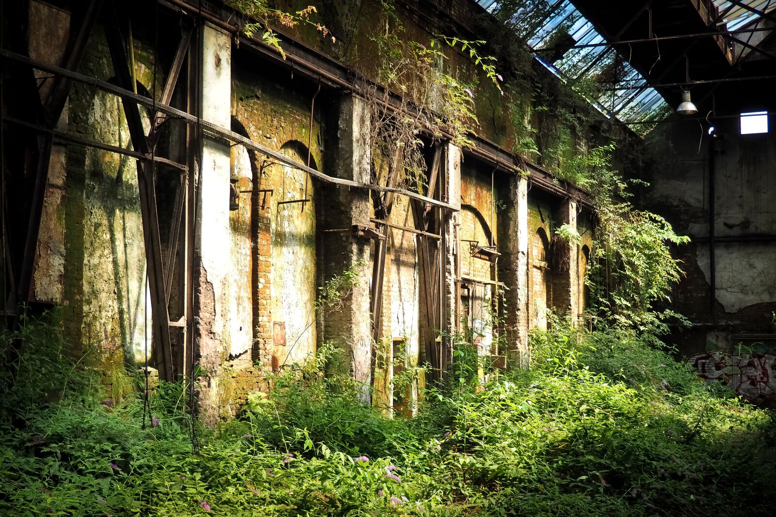 Olympus OM-D E-M10 sample photo. Lost places, rooms, abandoned photography