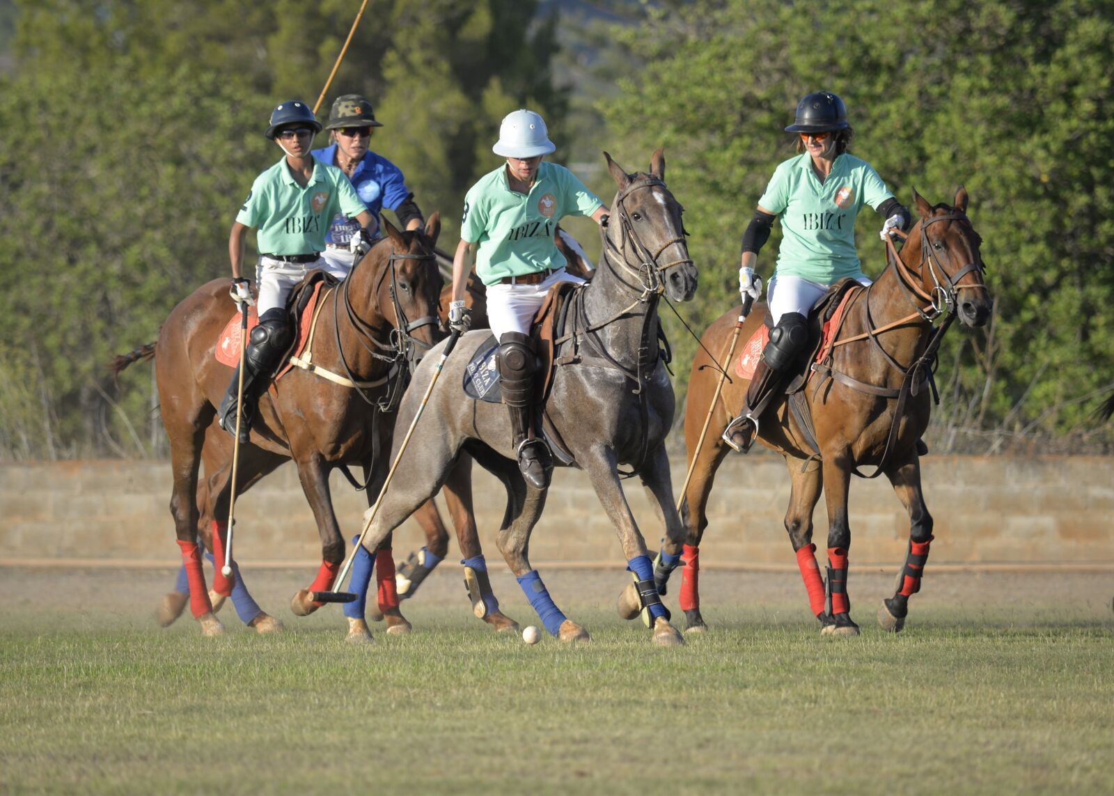 Nikon D610 sample photo. Horse, horses, polo photography