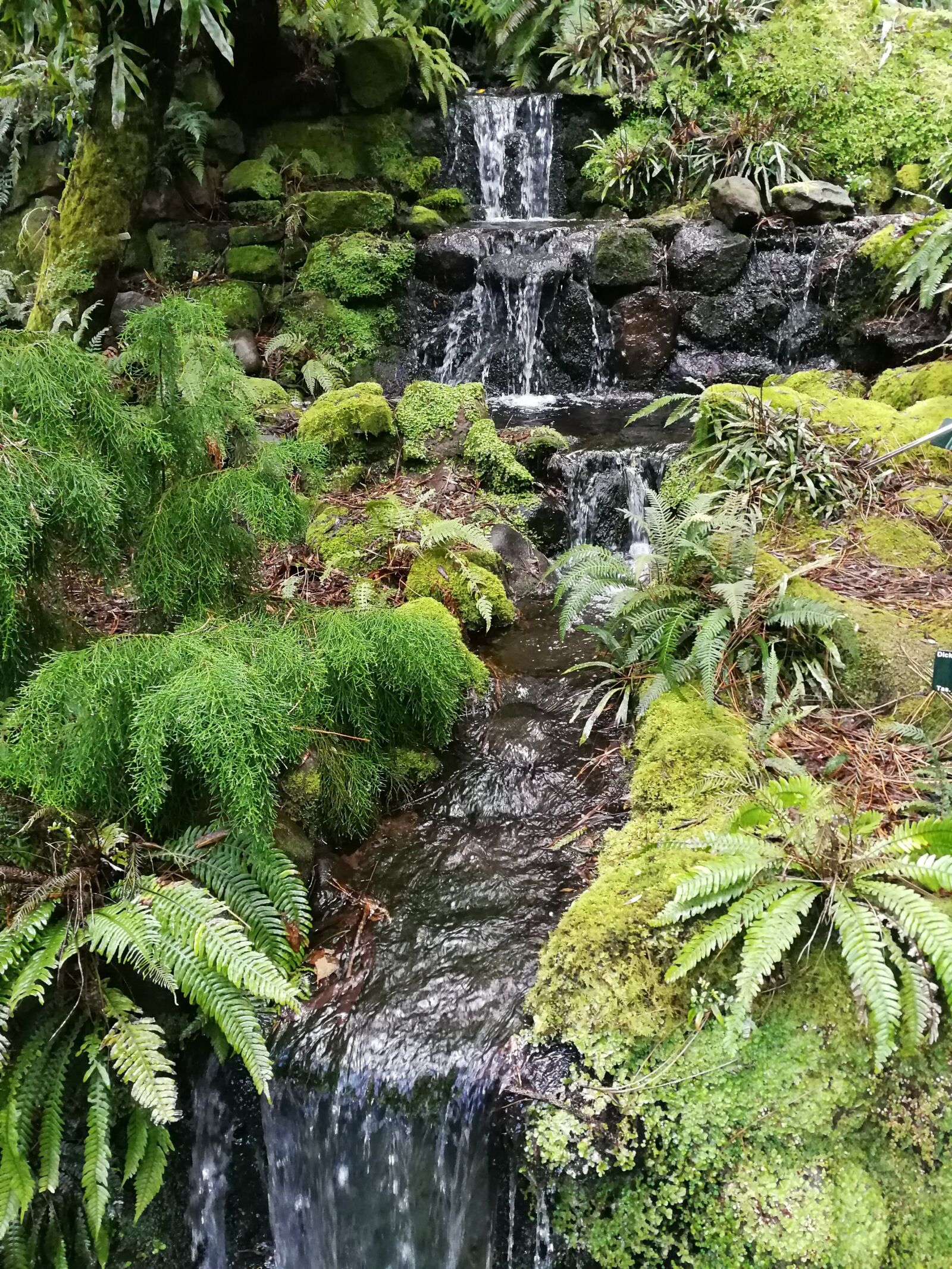 HUAWEI P10 sample photo. Waterfall, spring, water photography