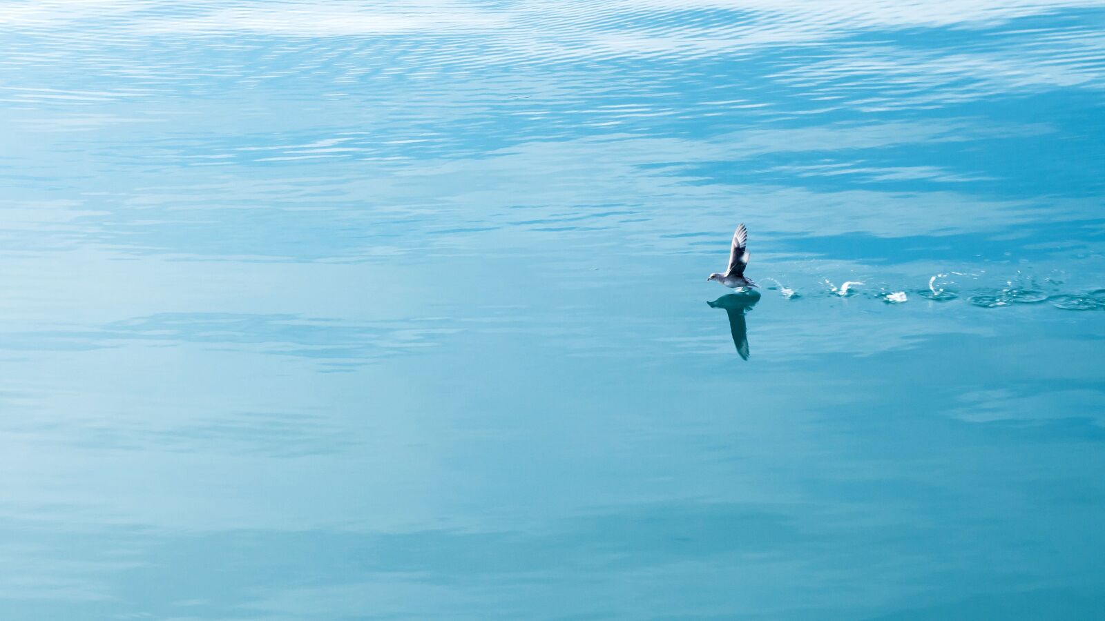 Pentax K-30 sample photo. See, marine, blue photography