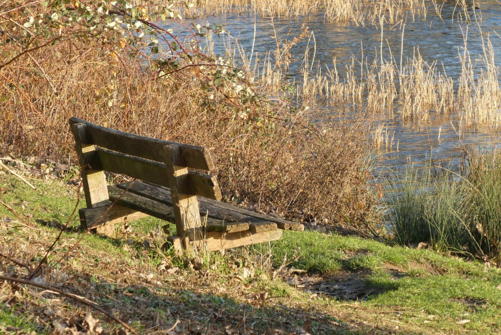 Panasonic Lumix DC-ZS70 (Lumix DC-TZ90) sample photo. Bench, body kits, sit photography