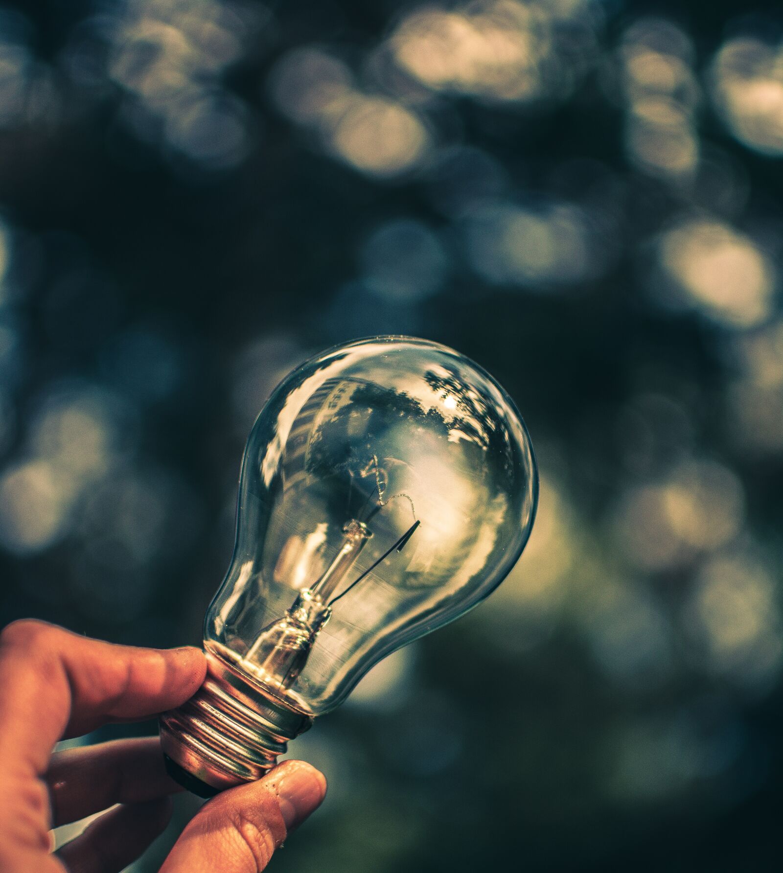 Nikon D5200 sample photo. Light bulb, bokeh, nature photography