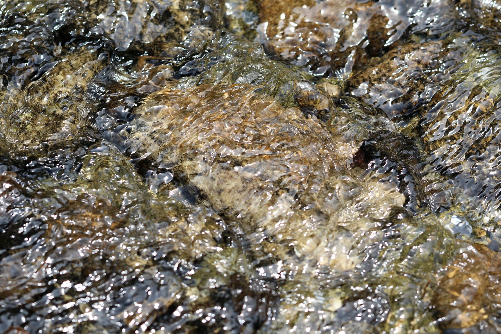 Canon EOS 7D Mark II sample photo. The creek, water, stone photography