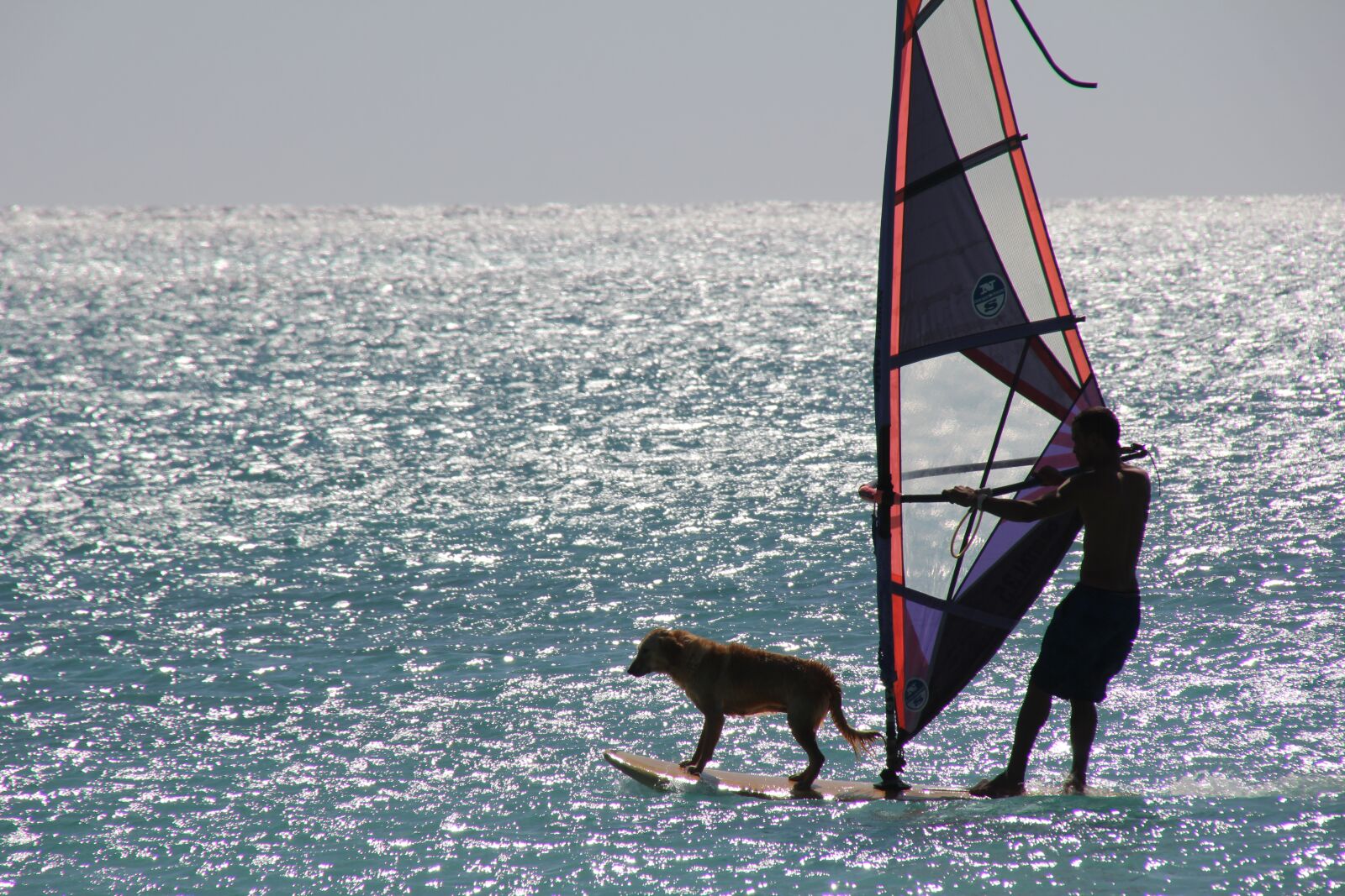 Canon EOS 60D sample photo. Surf, sport, water sports photography