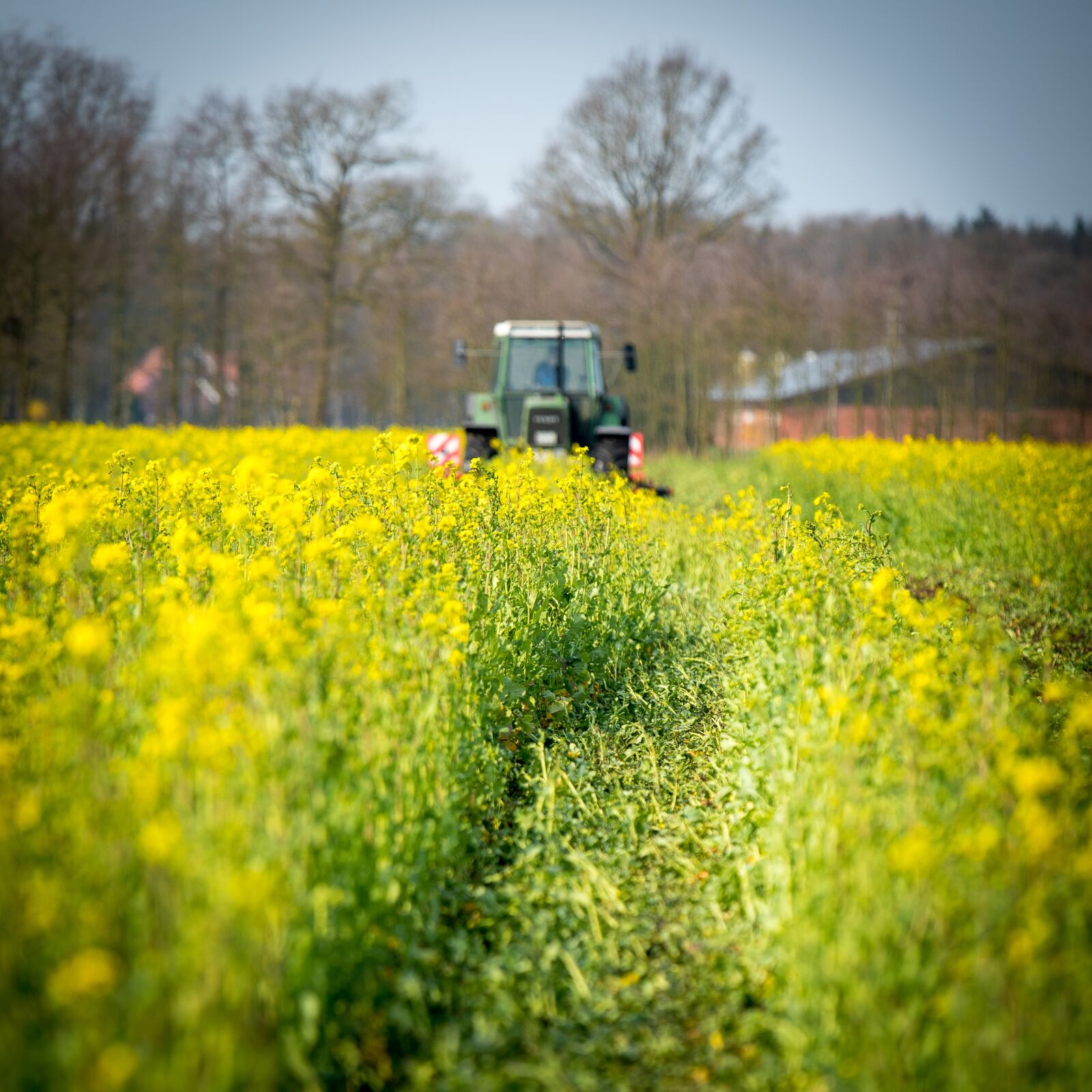 Nikon D750 sample photo. Catch crop, tractor, field photography