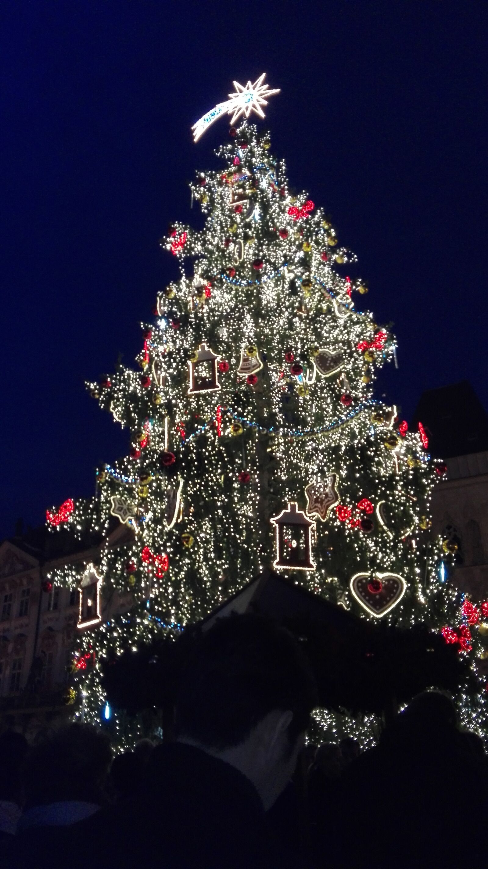 HUAWEI P8 Lite sample photo. Christmas, christmas, tree photography