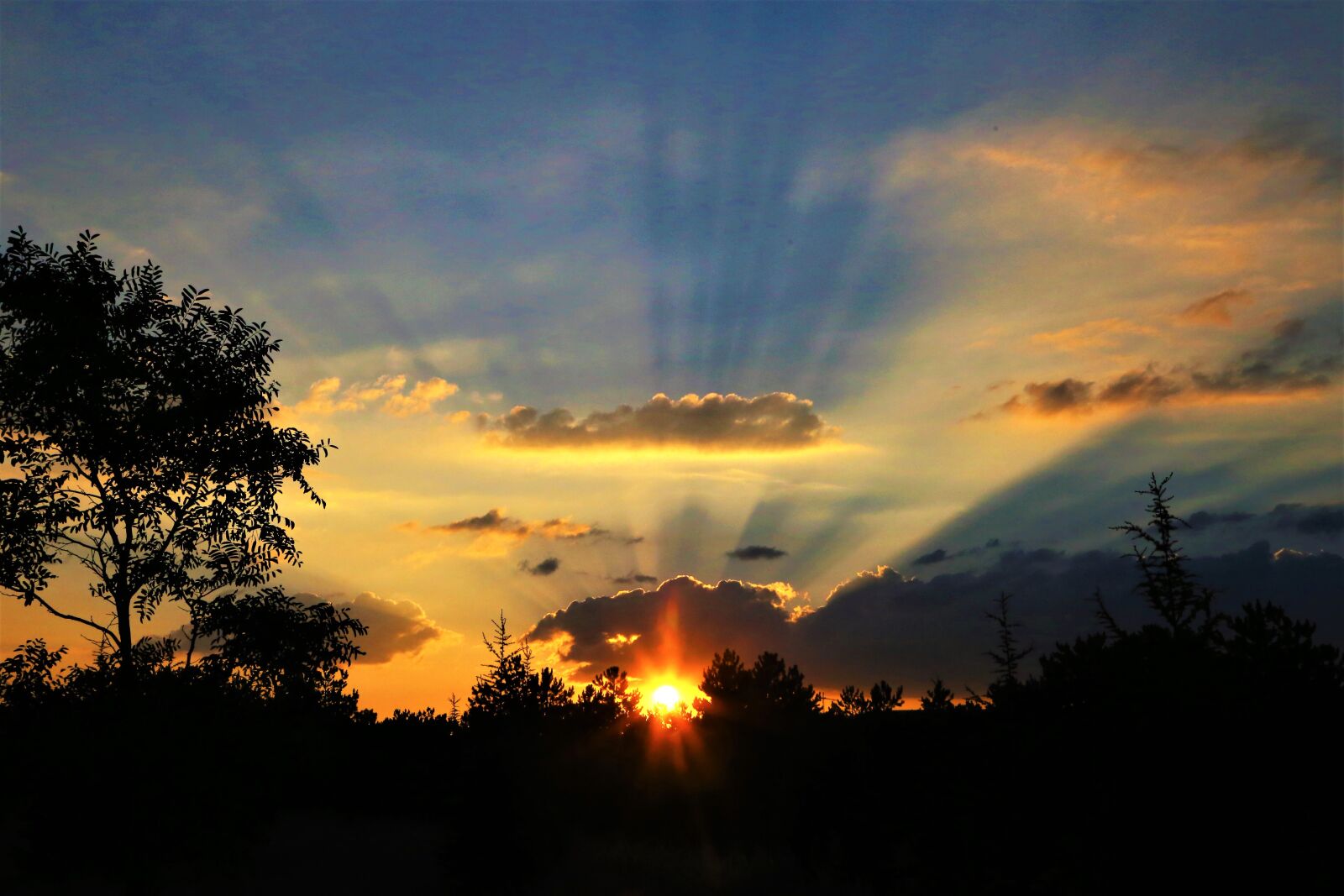 Canon EOS 6D + Canon EF 24-105mm F4L IS USM sample photo. Sunset, clouds, colors photography