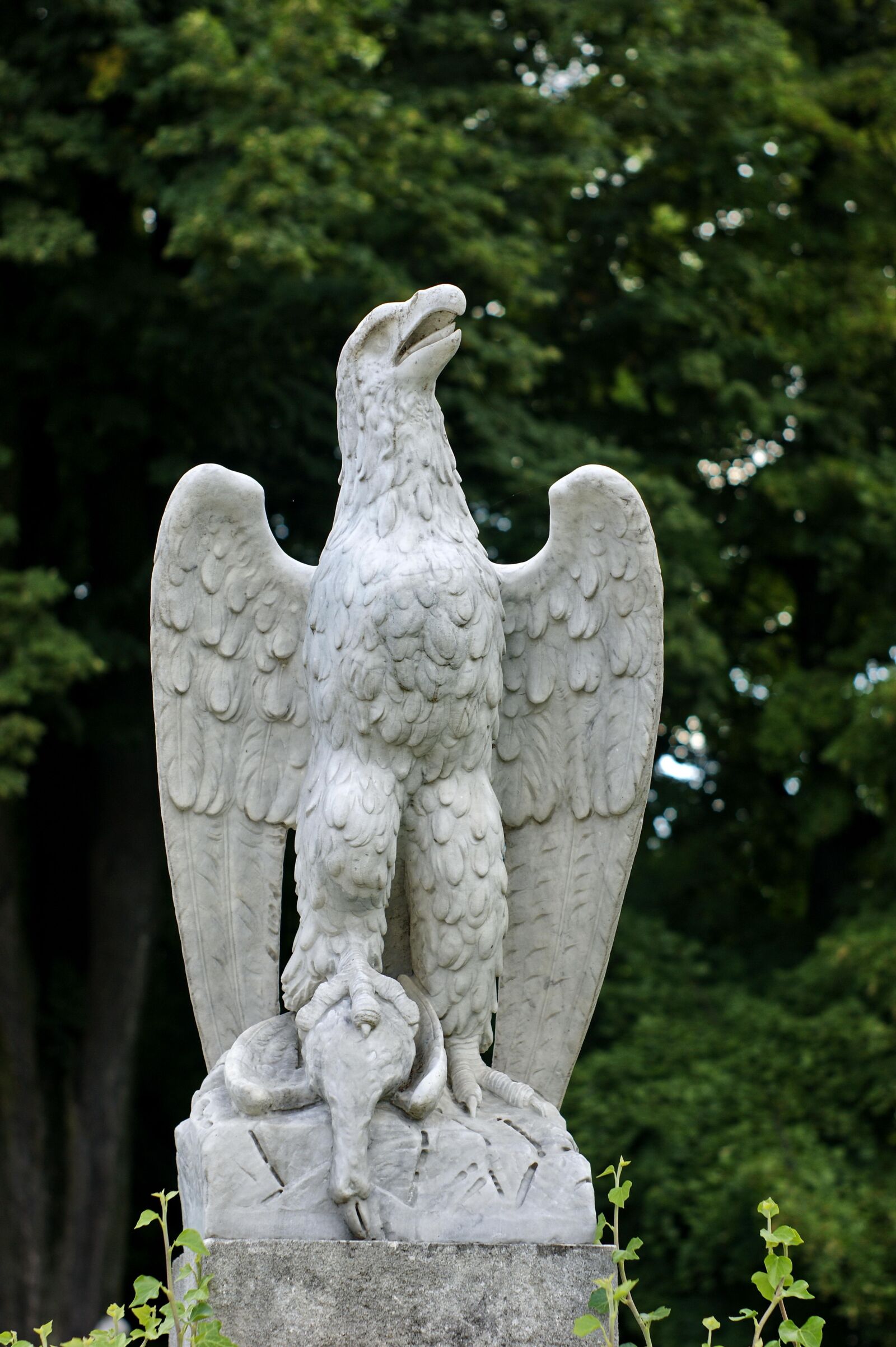 Sony Alpha DSLR-A290 sample photo. Eagle, architecture, monument photography