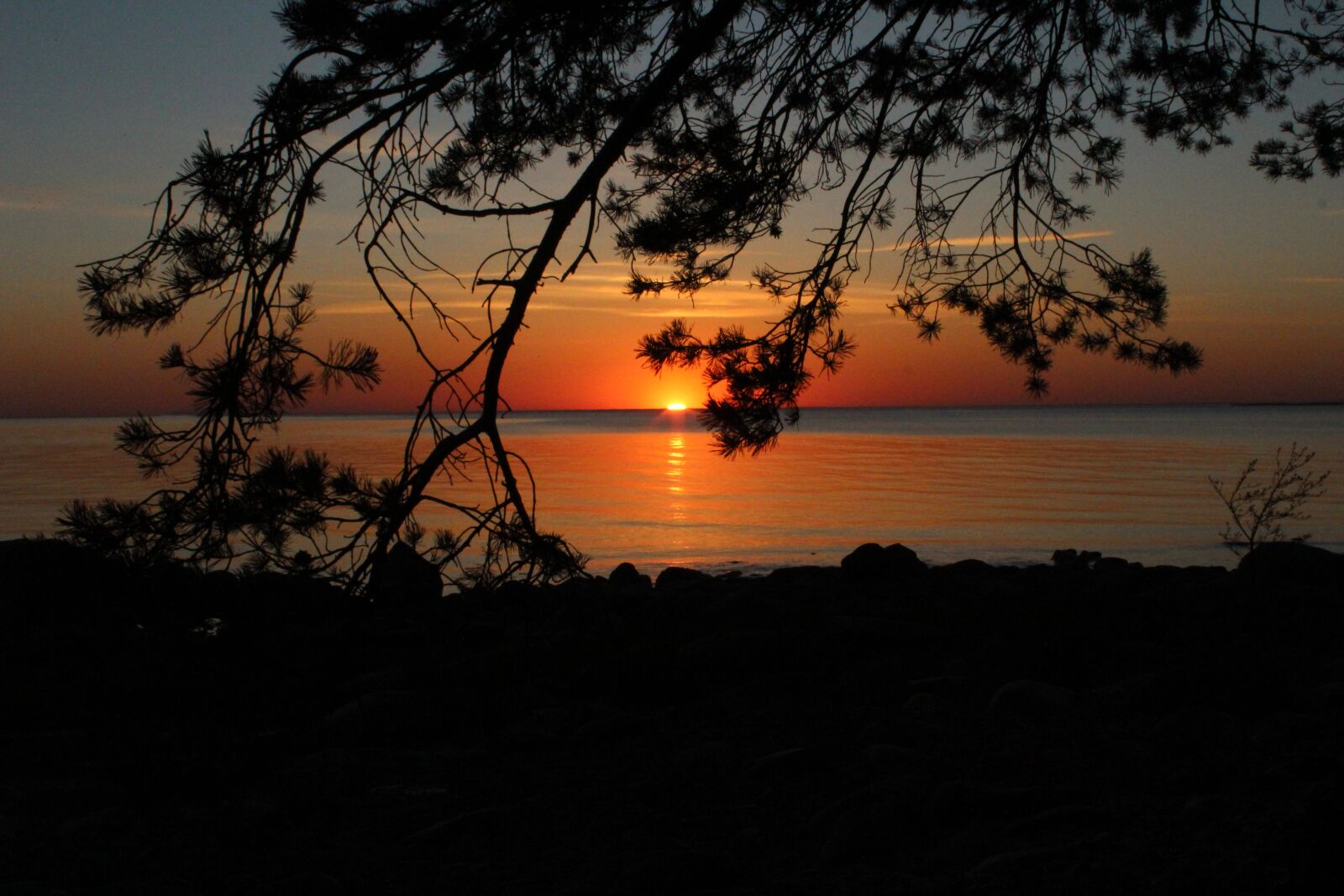 Canon EOS 1200D (EOS Rebel T5 / EOS Kiss X70 / EOS Hi) sample photo. Sunset, estonia, sky photography