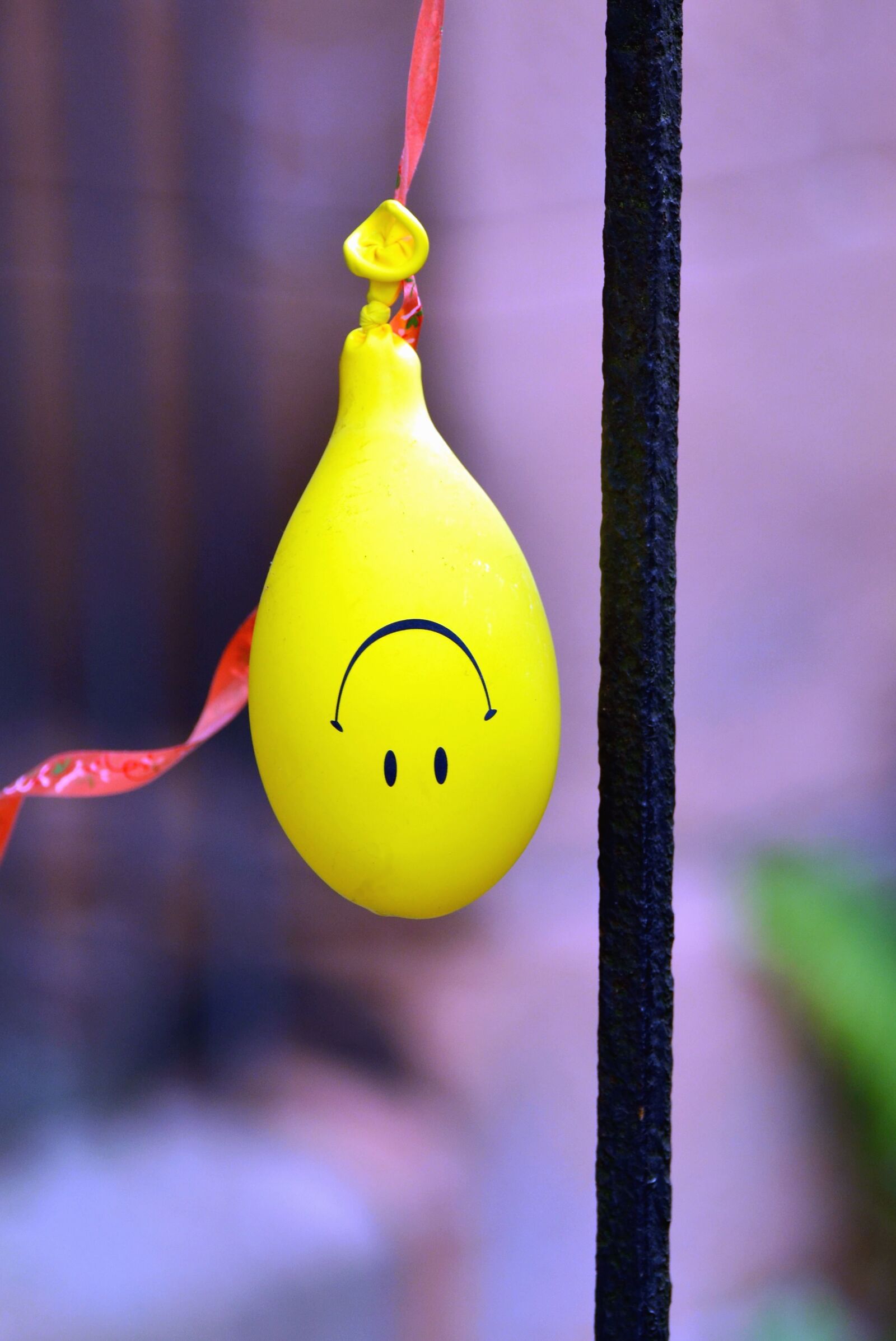 Nikon D5100 sample photo. Lumbalon, rubber, balloon,yellow, celebration photography