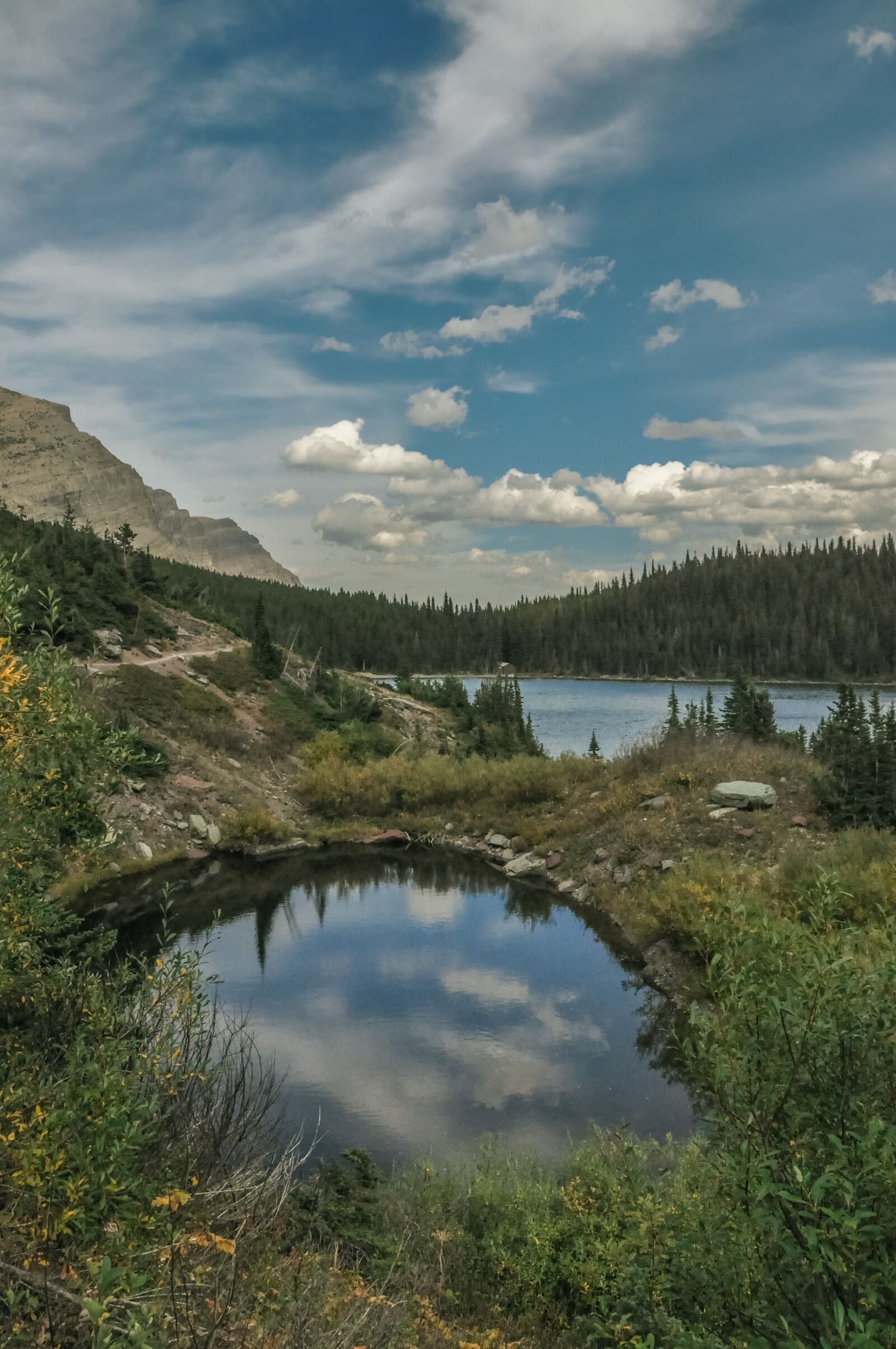 Nikon D90 sample photo. Lake, pond, nature photography