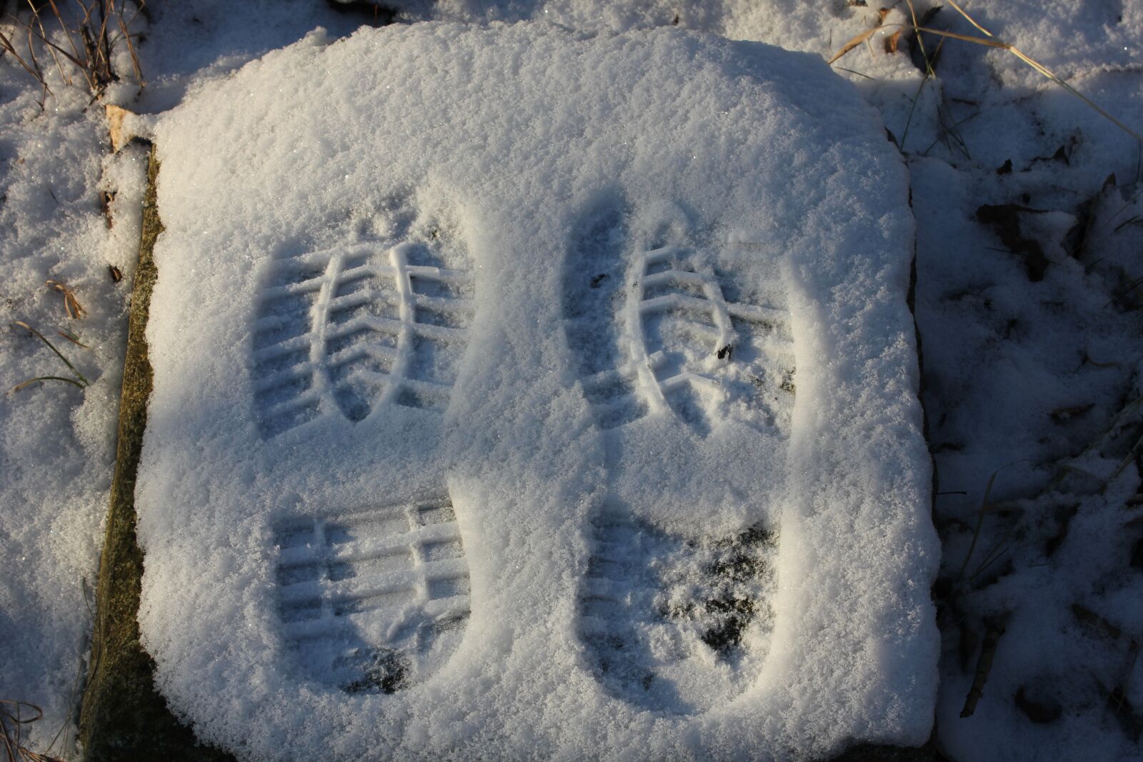 Canon EOS 550D (EOS Rebel T2i / EOS Kiss X4) sample photo. Tracks, snow, walk photography