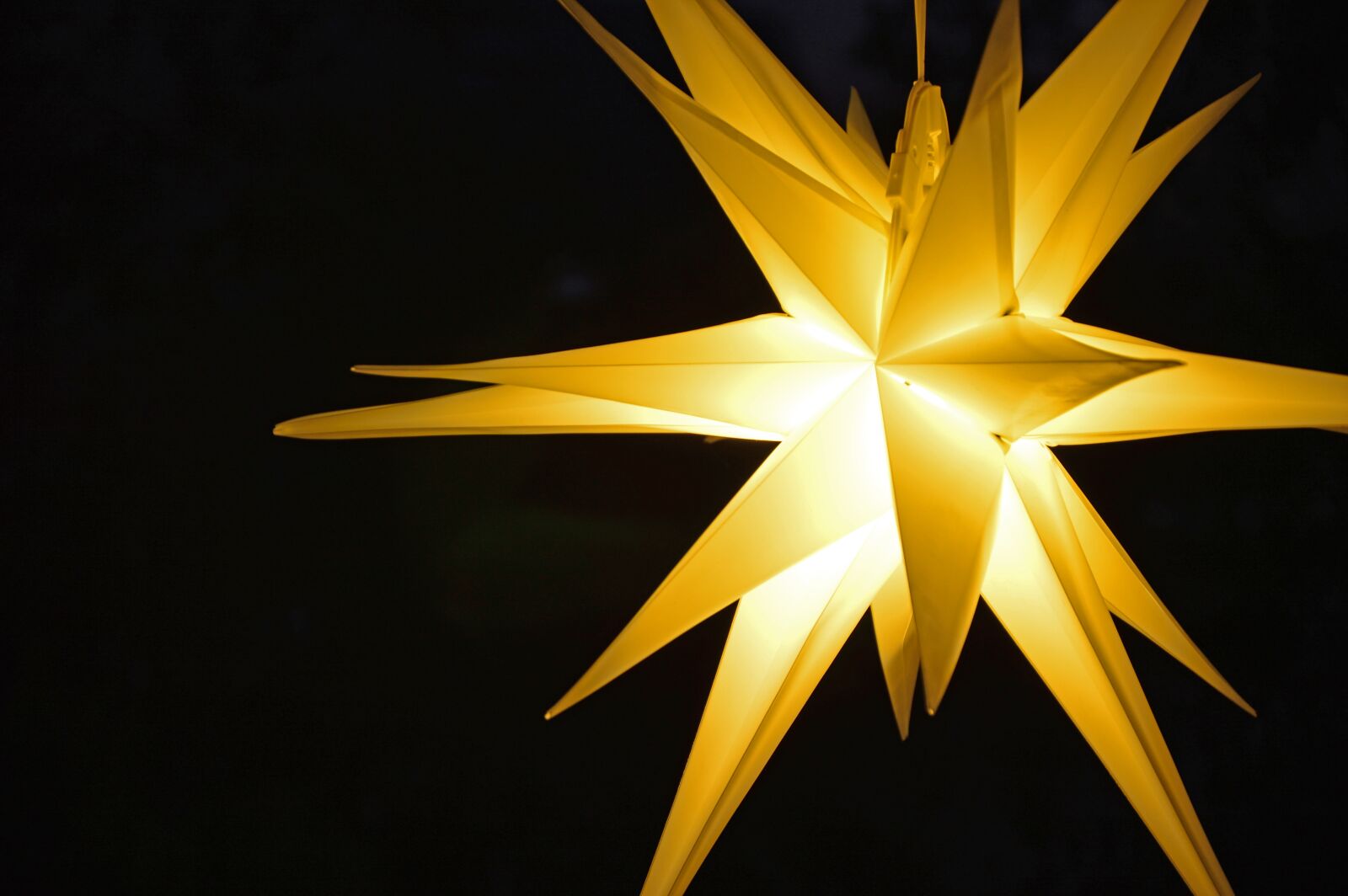 Nikon D3200 sample photo. Star, poinsettia, christmas photography
