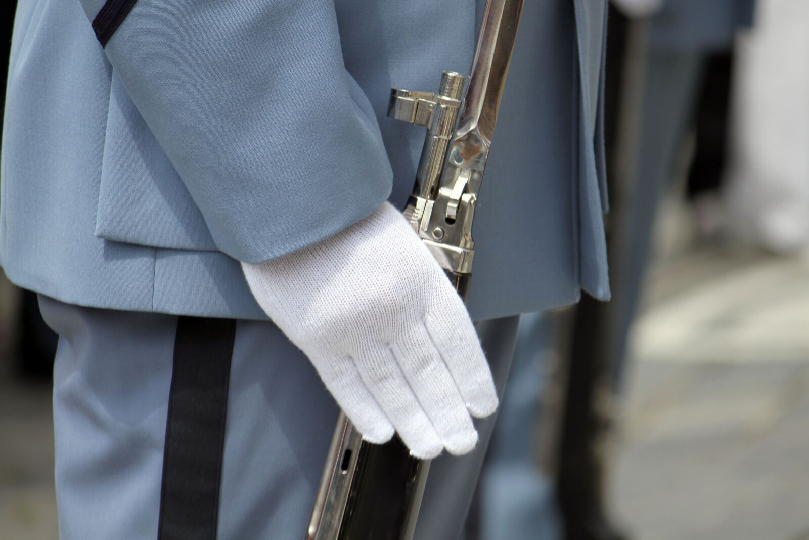 Canon EOS 7D sample photo. Guard, bayonet, close up photography