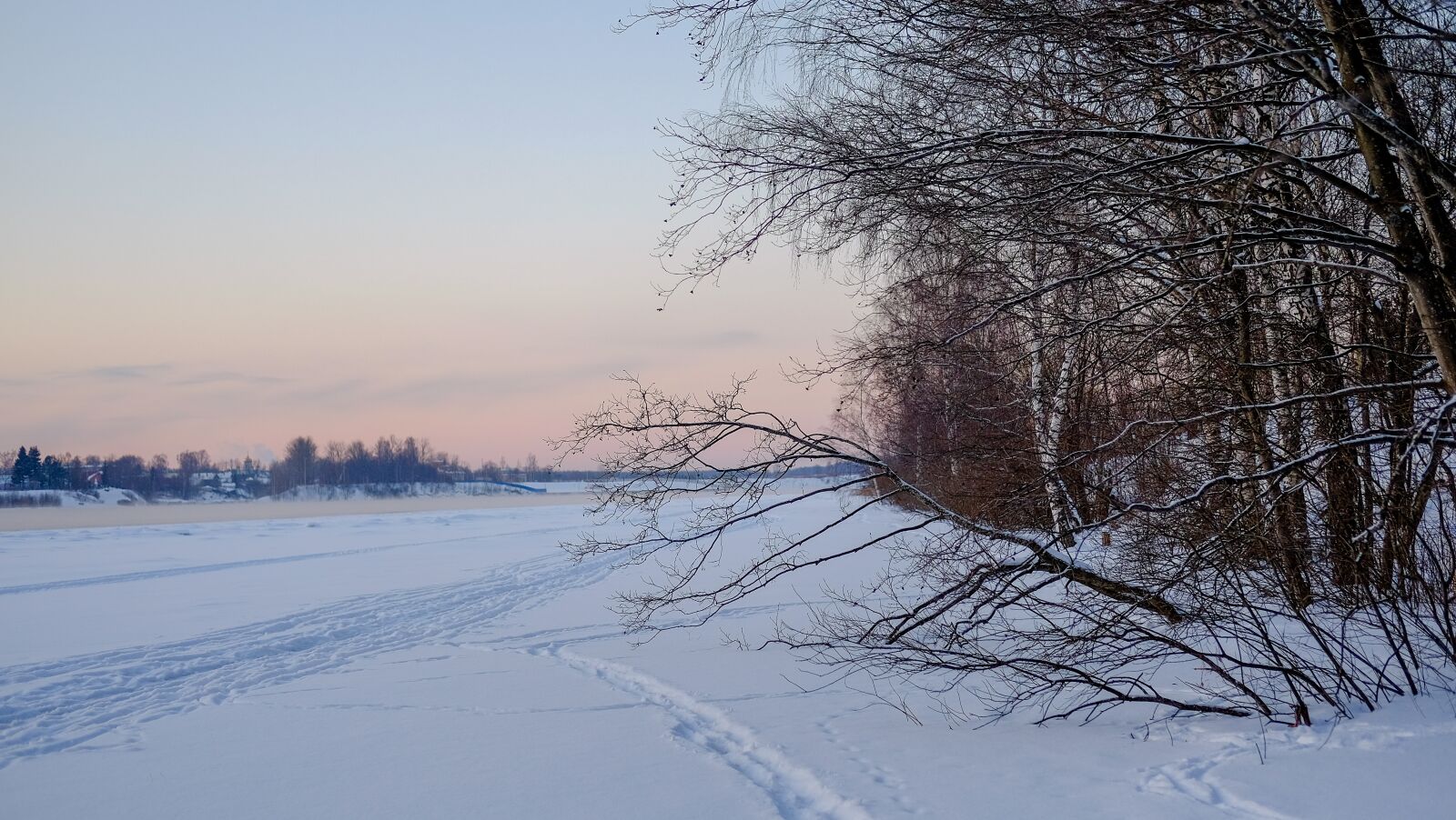 Fujifilm X-T10 + Fujifilm XF 35mm F2 R WR sample photo. Winter, snow, coldly photography