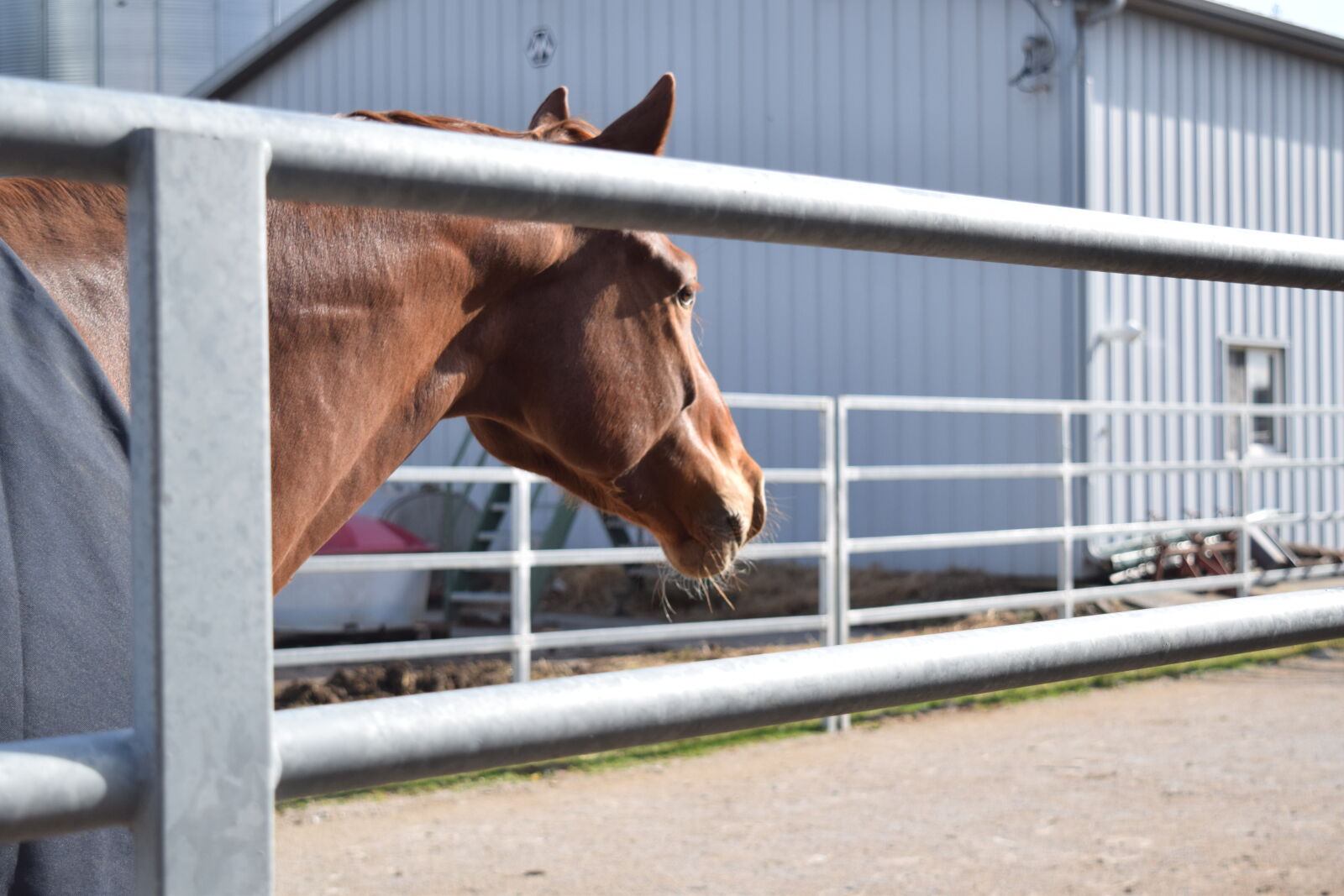 Nikon D3300 sample photo