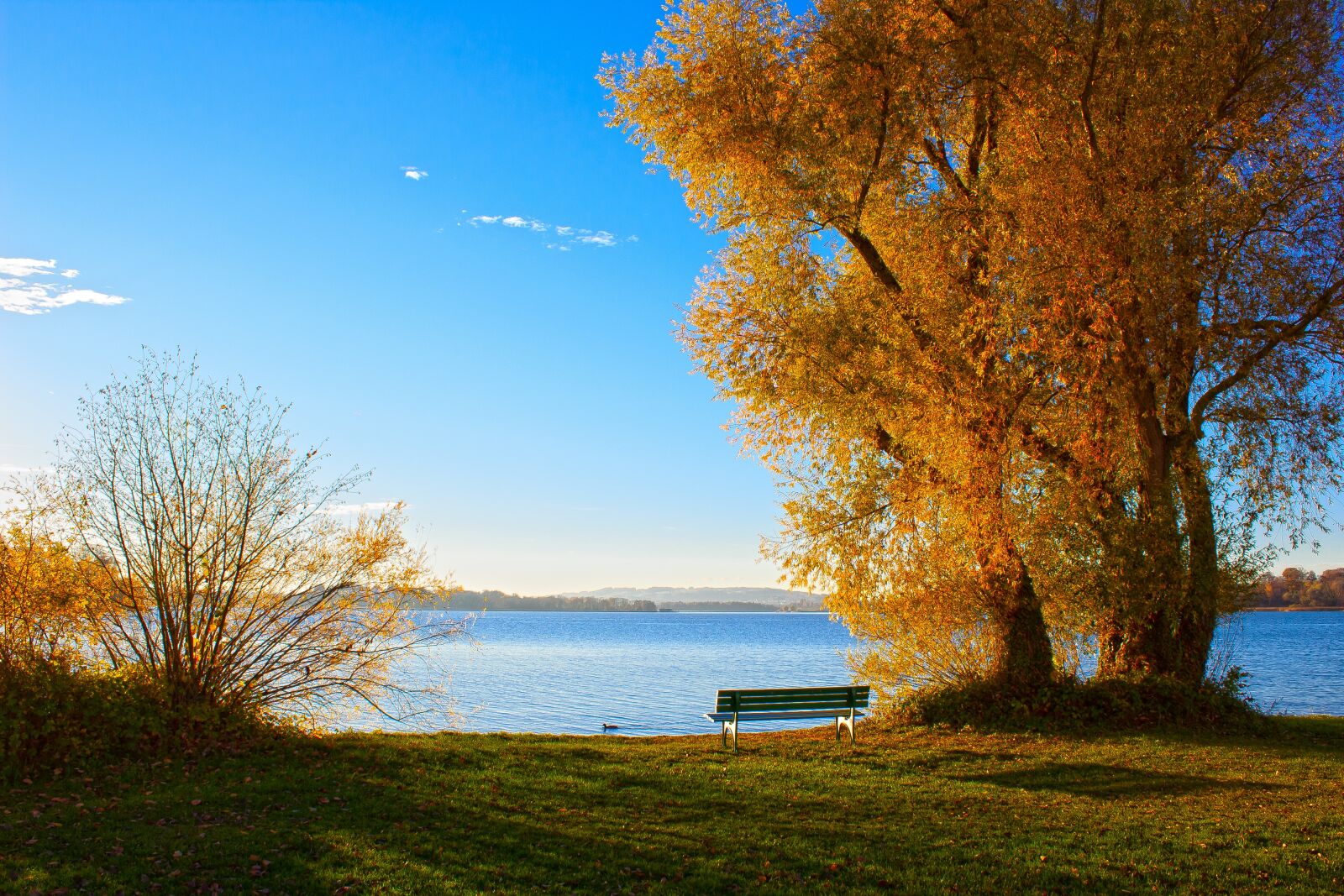 Canon EOS 1300D (EOS Rebel T6 / EOS Kiss X80) sample photo. Lake, chiemsee, autumn photography