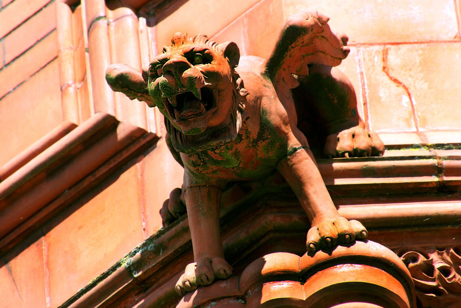 Canon EOS 700D (EOS Rebel T5i / EOS Kiss X7i) sample photo. Gargoyle, grotesque, sculpture photography