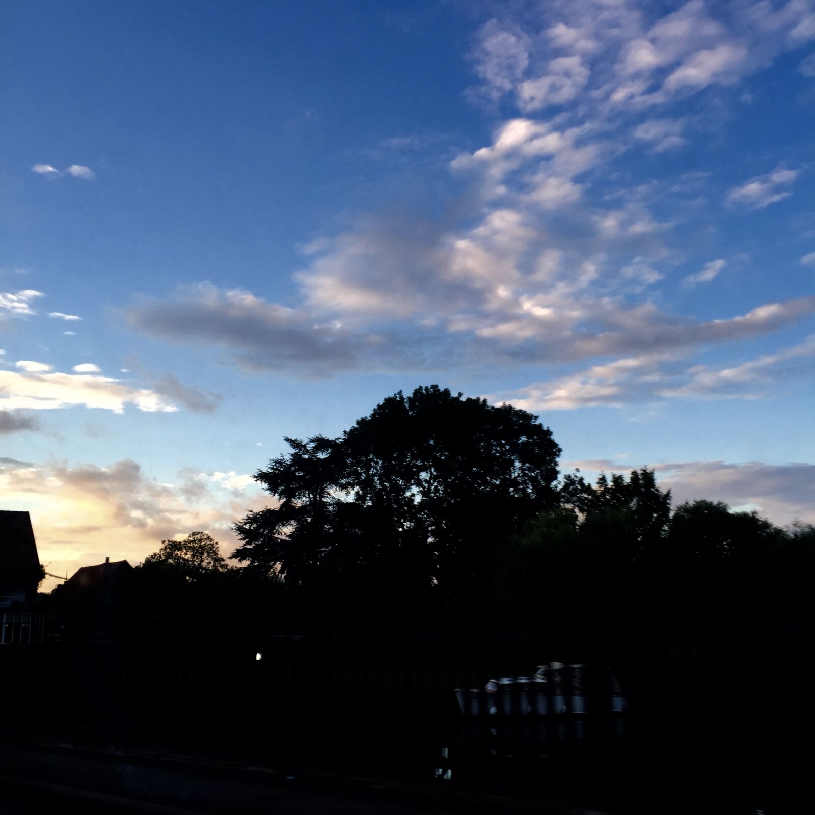 Apple iPhone 6 sample photo