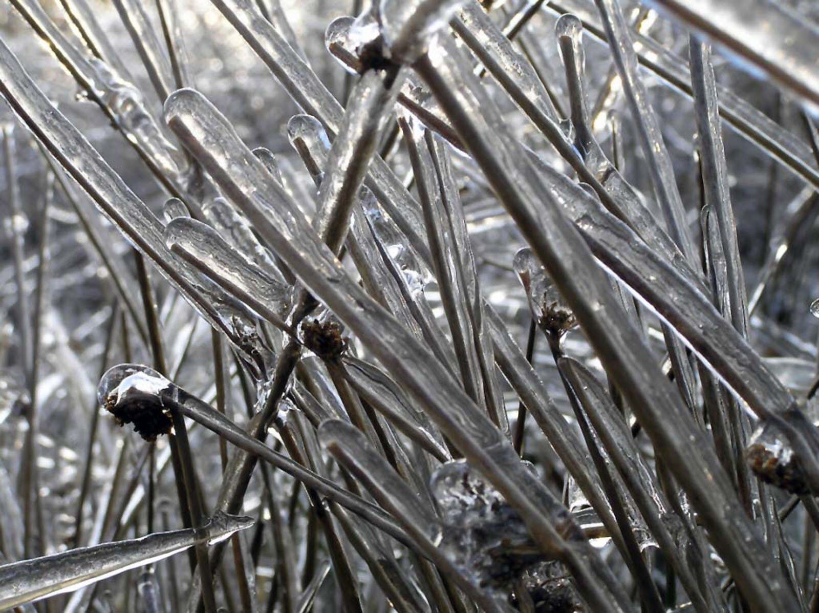 Olympus C765UZ sample photo. Nature, ice, graeser photography