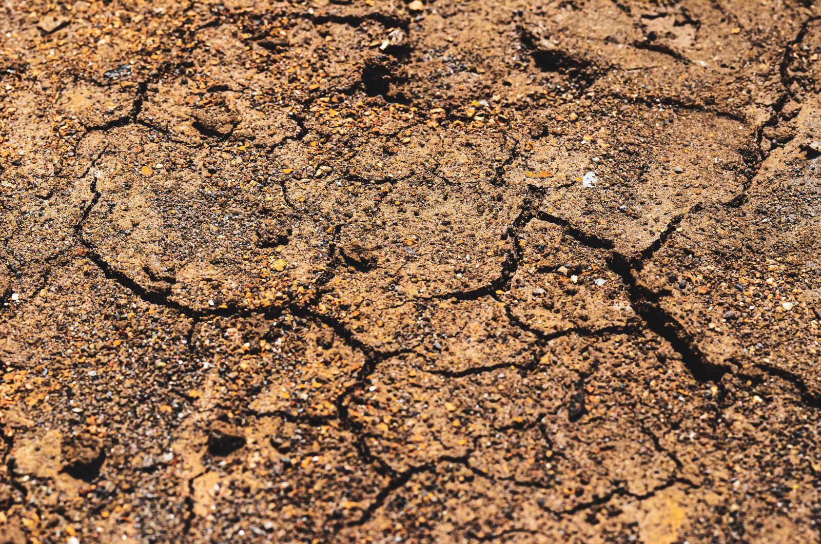 Nikon D5100 sample photo. Earthquake, cracked, ground photography
